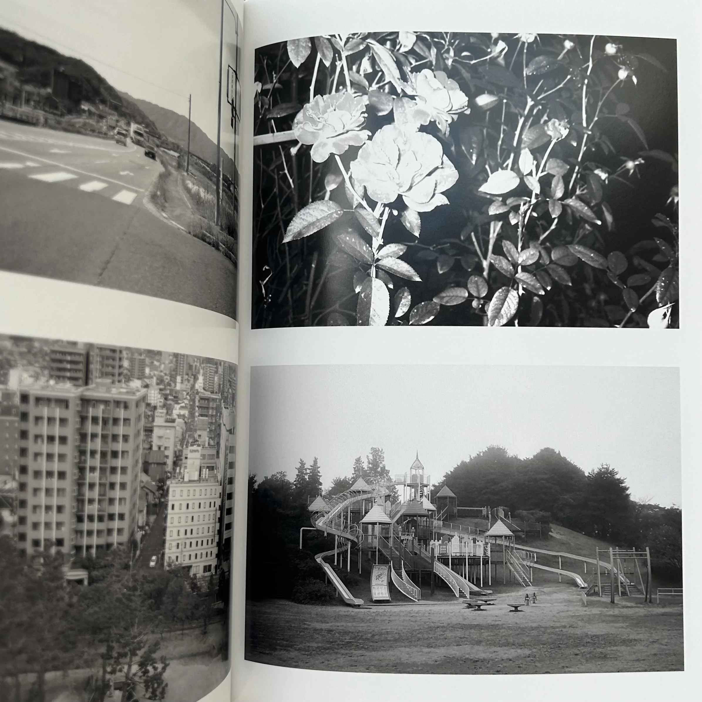 Sly Morikawa City of Roses 12.jpeg