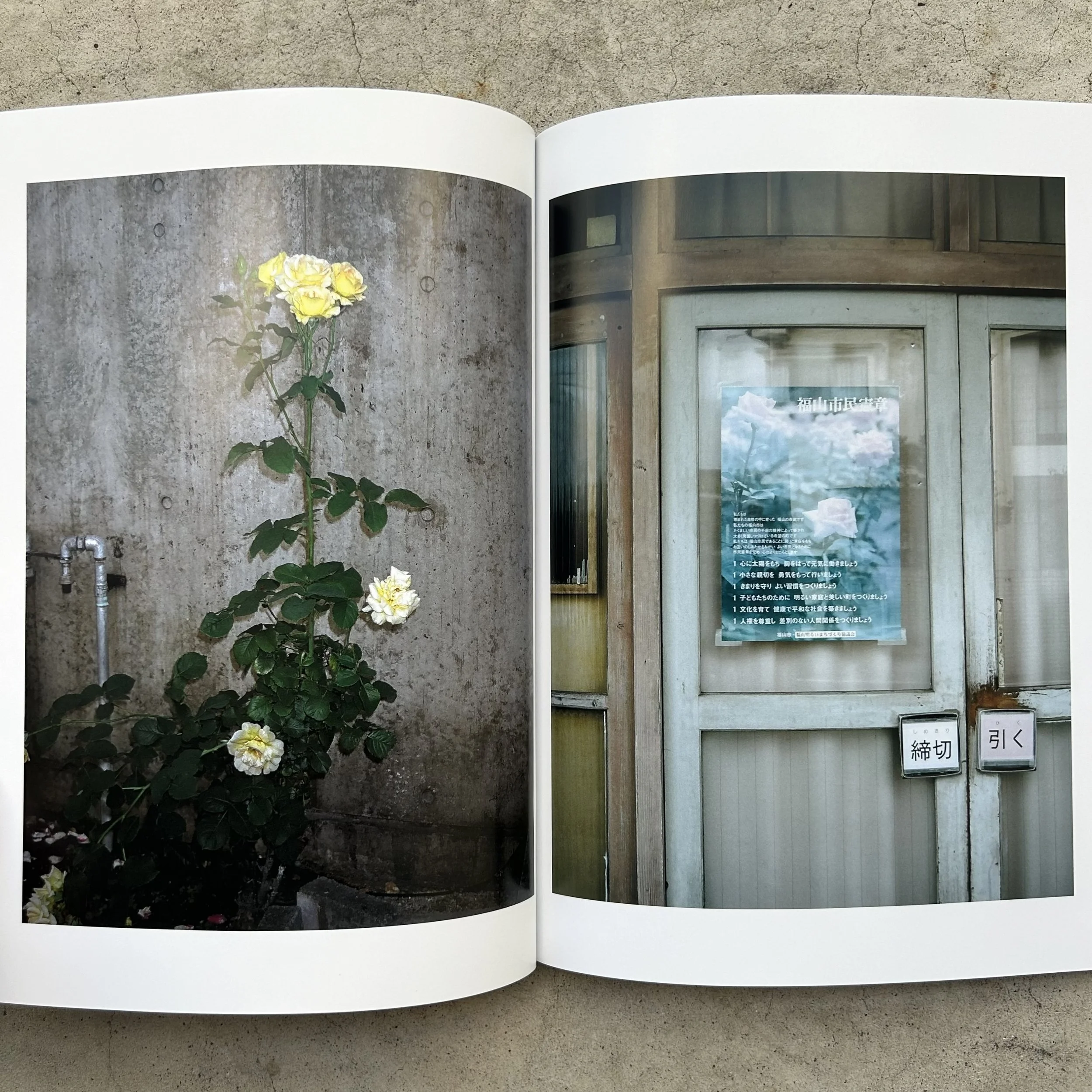 Sly Morikawa City of Roses 7.jpeg