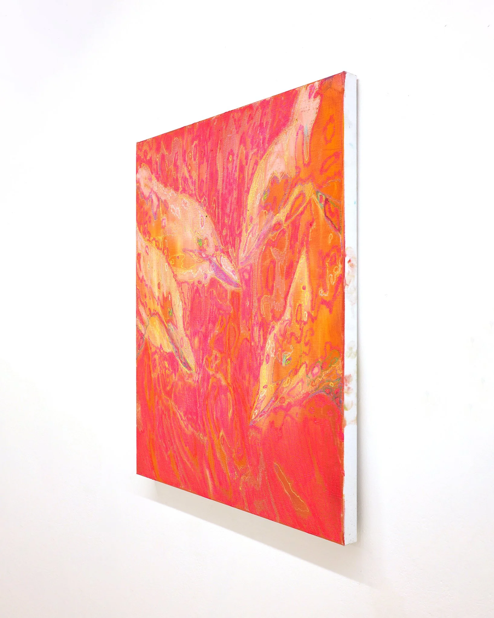 Dan Mitchell 'Sunset Swim’ 66cm wide x 76.5cm tall 2026 RHS Web-Res 4x5.JPG