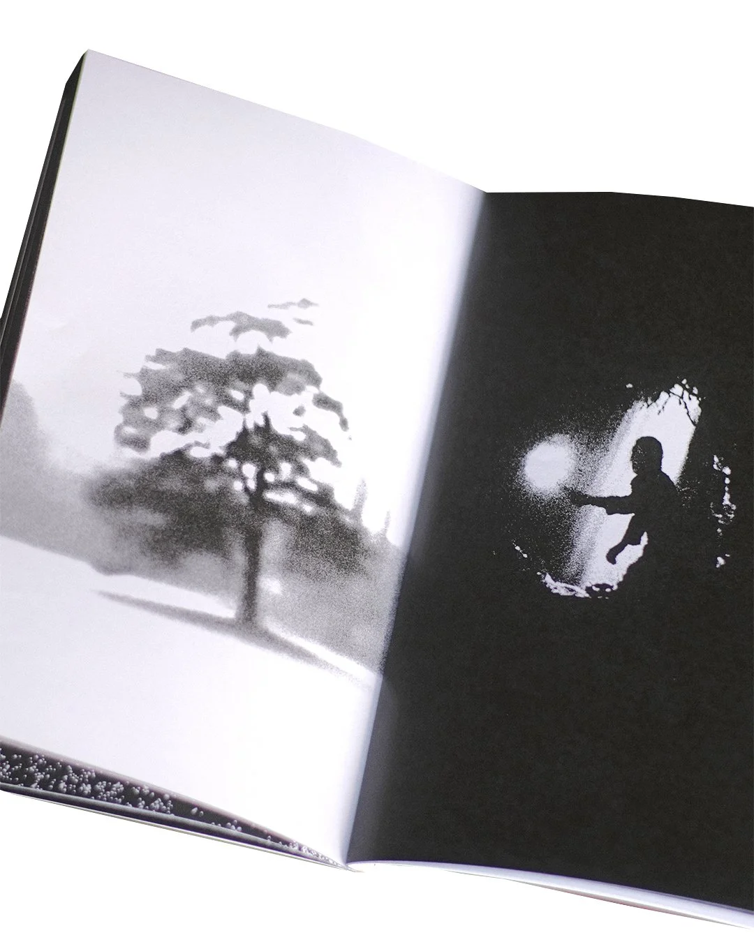 Max Berry 'YRSSWS' - Artist Publication