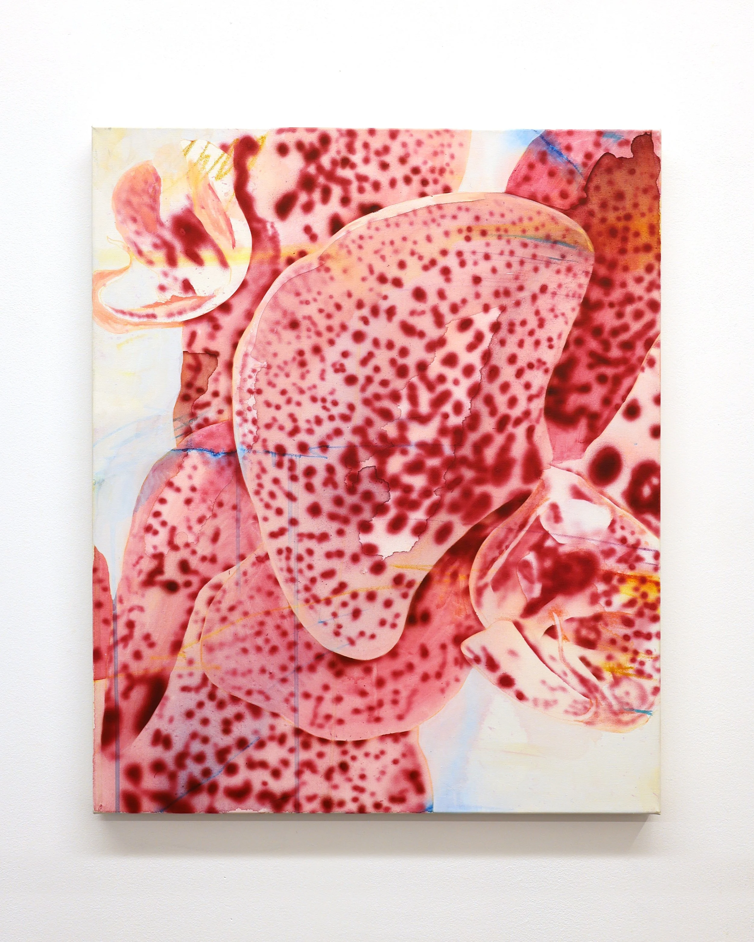 Benedict dos Remedios 'Mum’s kitchen orchid #6'. Original artwork