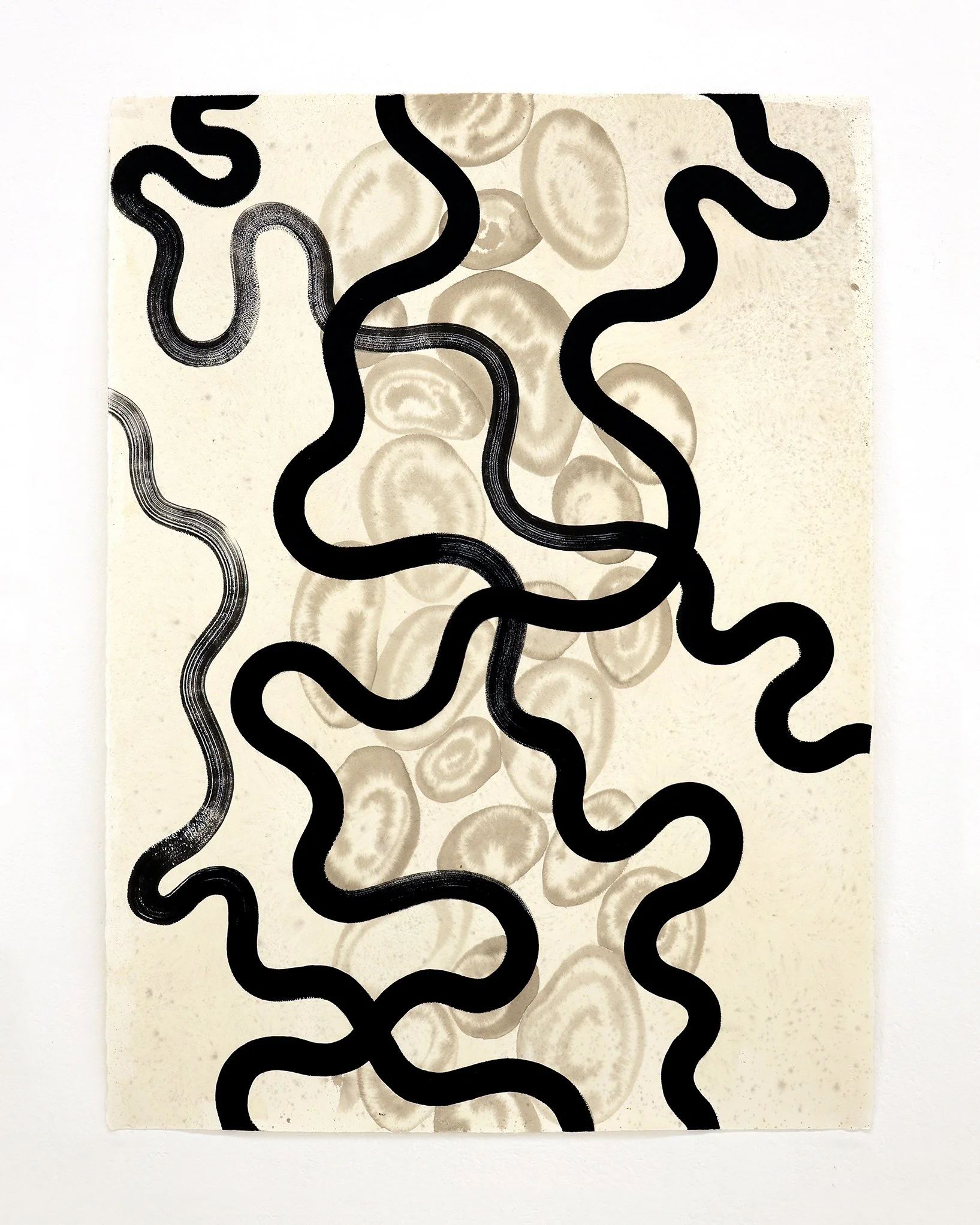 Shaun Daniel Allen (Shal) Between Lands 56cm x 76cm Work On Paper 2026 1.JPG