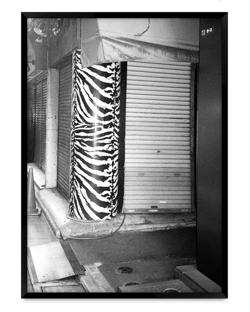 Zebra+Pole,+Shinjuku+2017_EllenVirgona.jpg