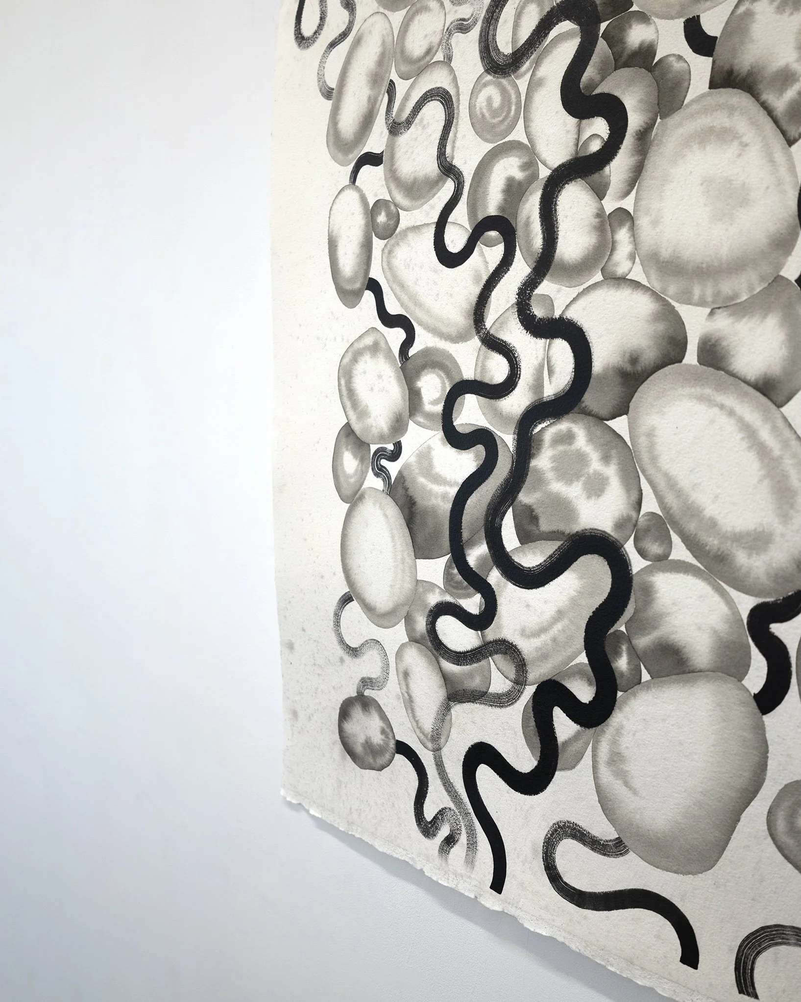 Shal_10_Detail_Web_4x5.jpg
