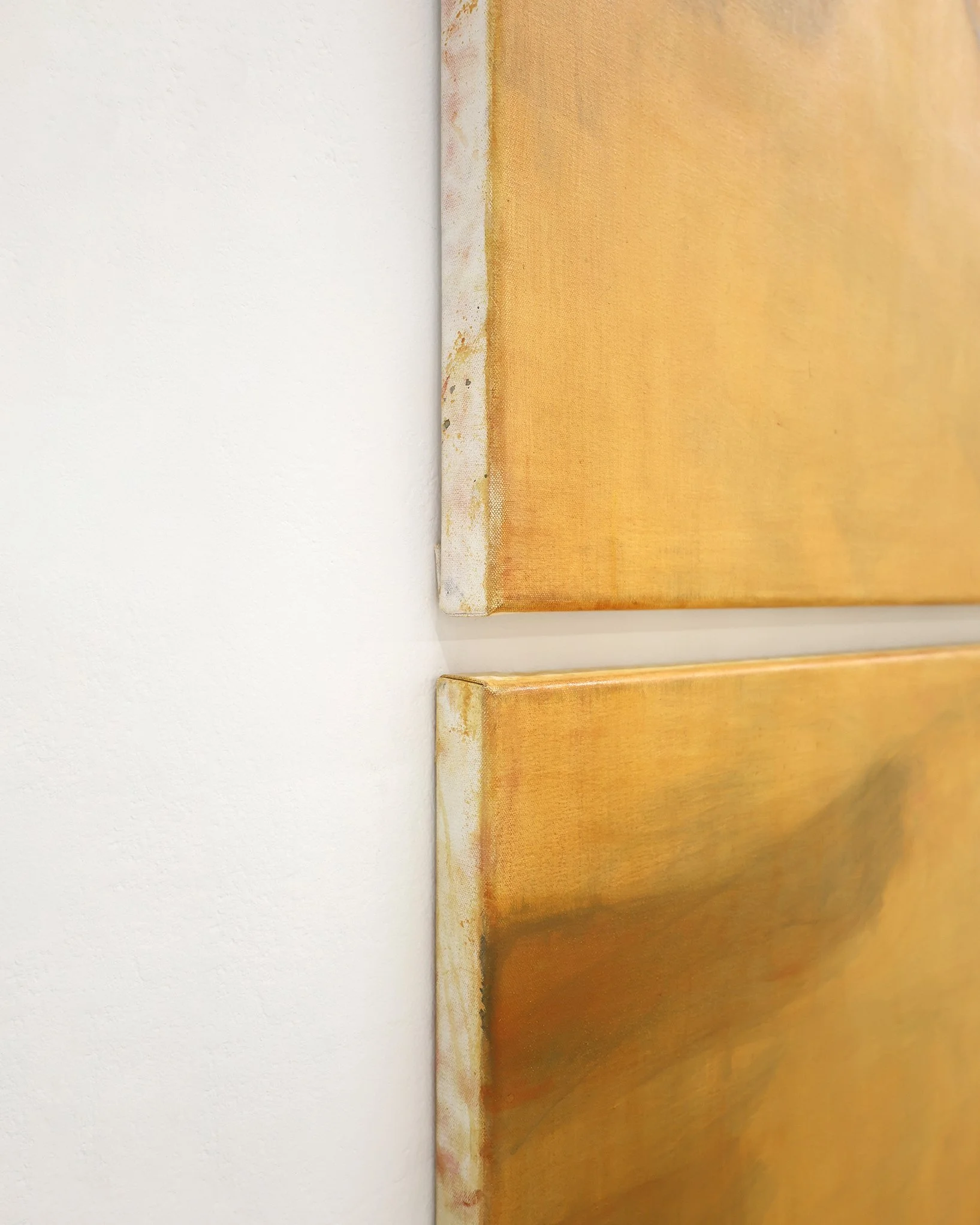 Hugh Van Schaick Bones wet like mud 76cm x 152cm Oil on canvas 2026 DETAIL 1.JPG