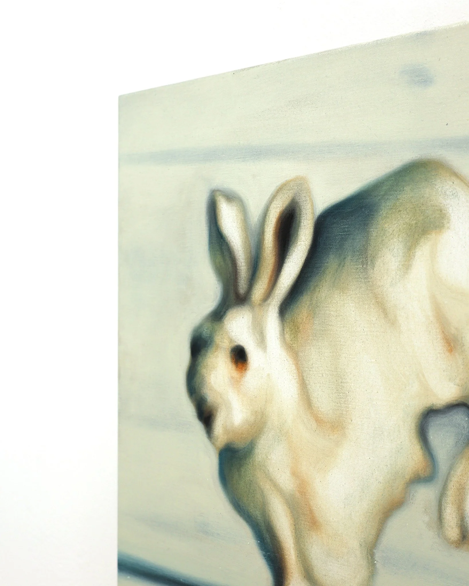 Max Berry White Rabbit Oil on canvas 46cm x 46cm 2026 Detail 2 4x5 IG.JPG