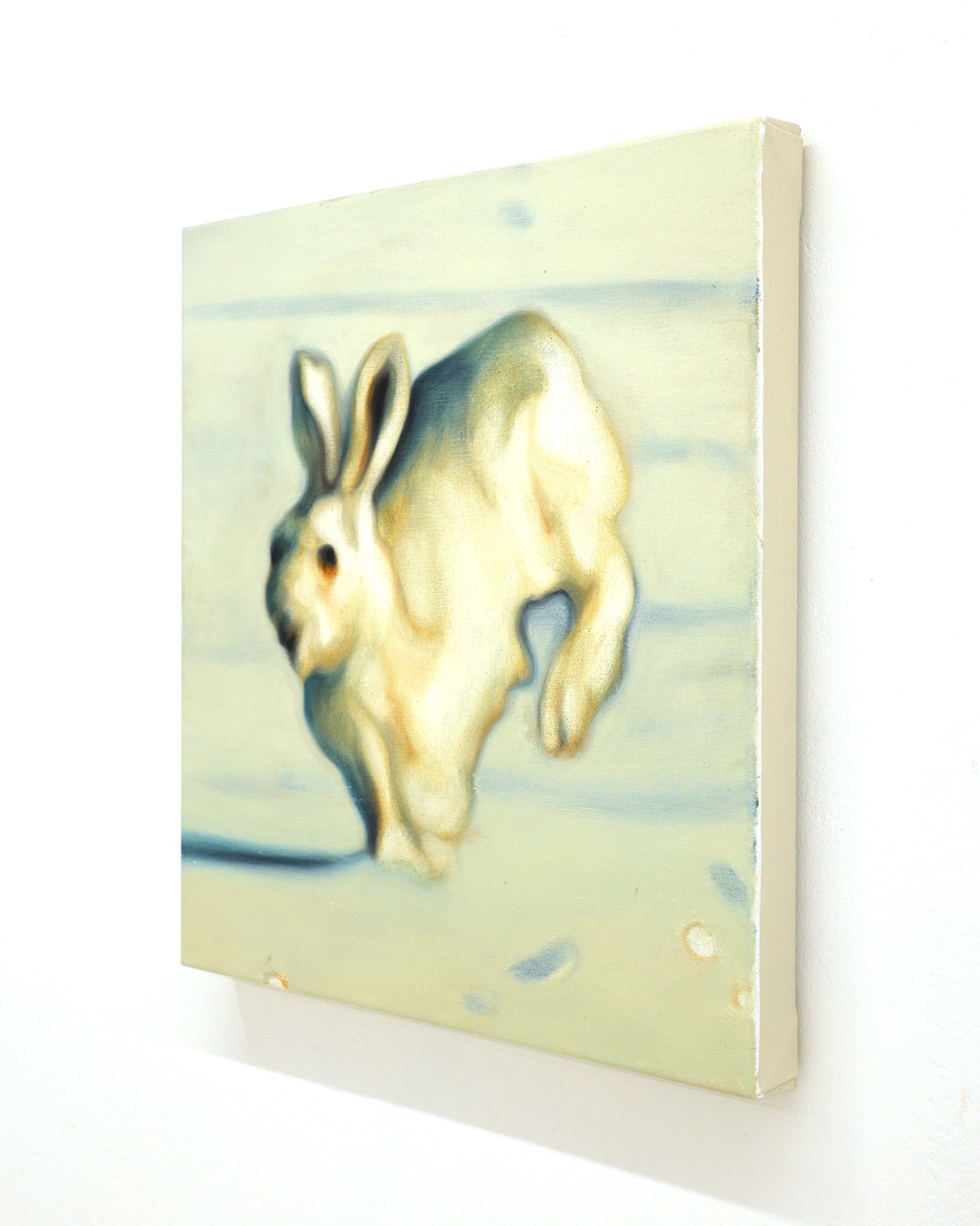 Max Berry White Rabbit Oil on canvas 46cm x 46cm 2026 RHS 4x5 IG.JPG