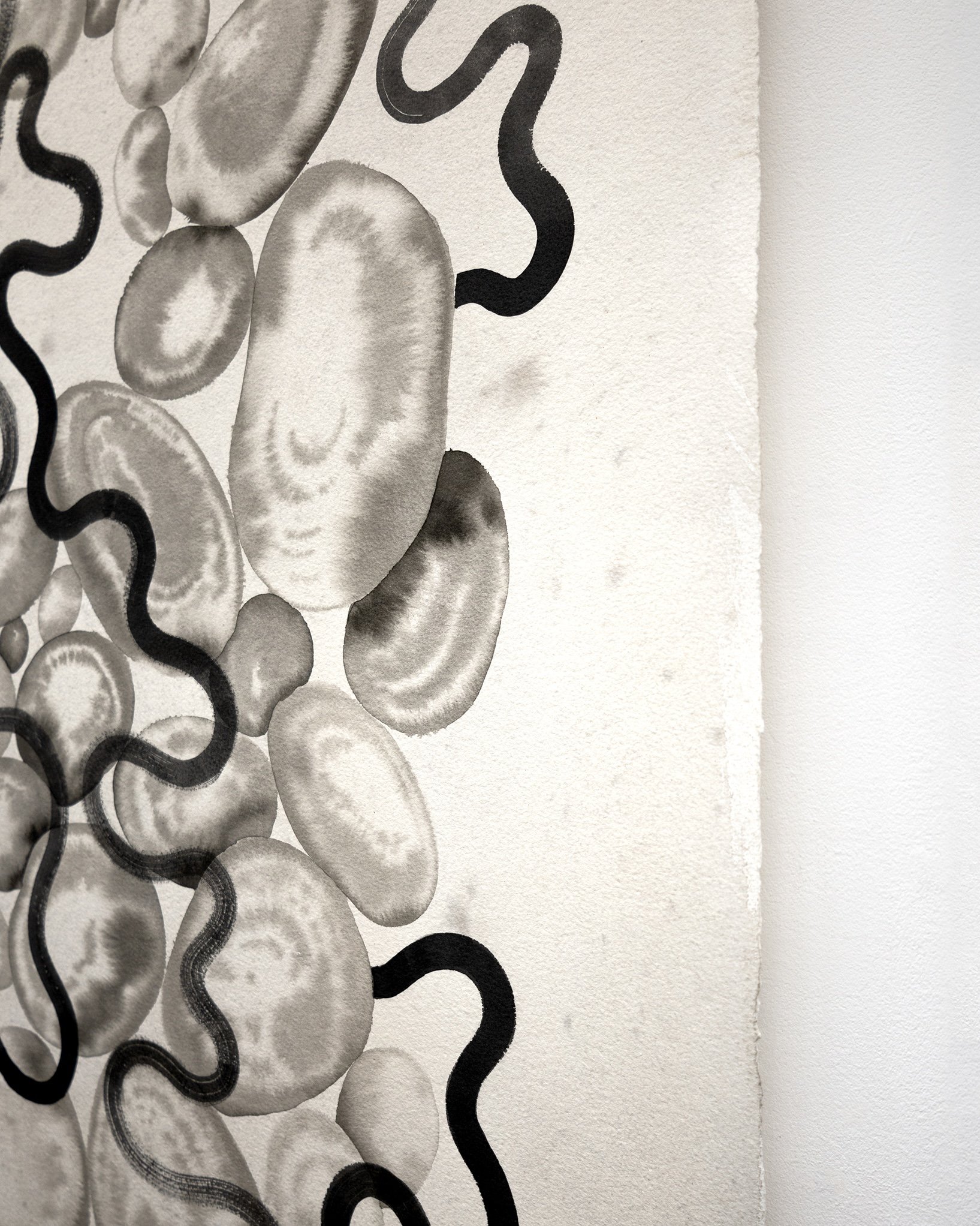 Shal_11_Detail2_Web_4x5.jpg