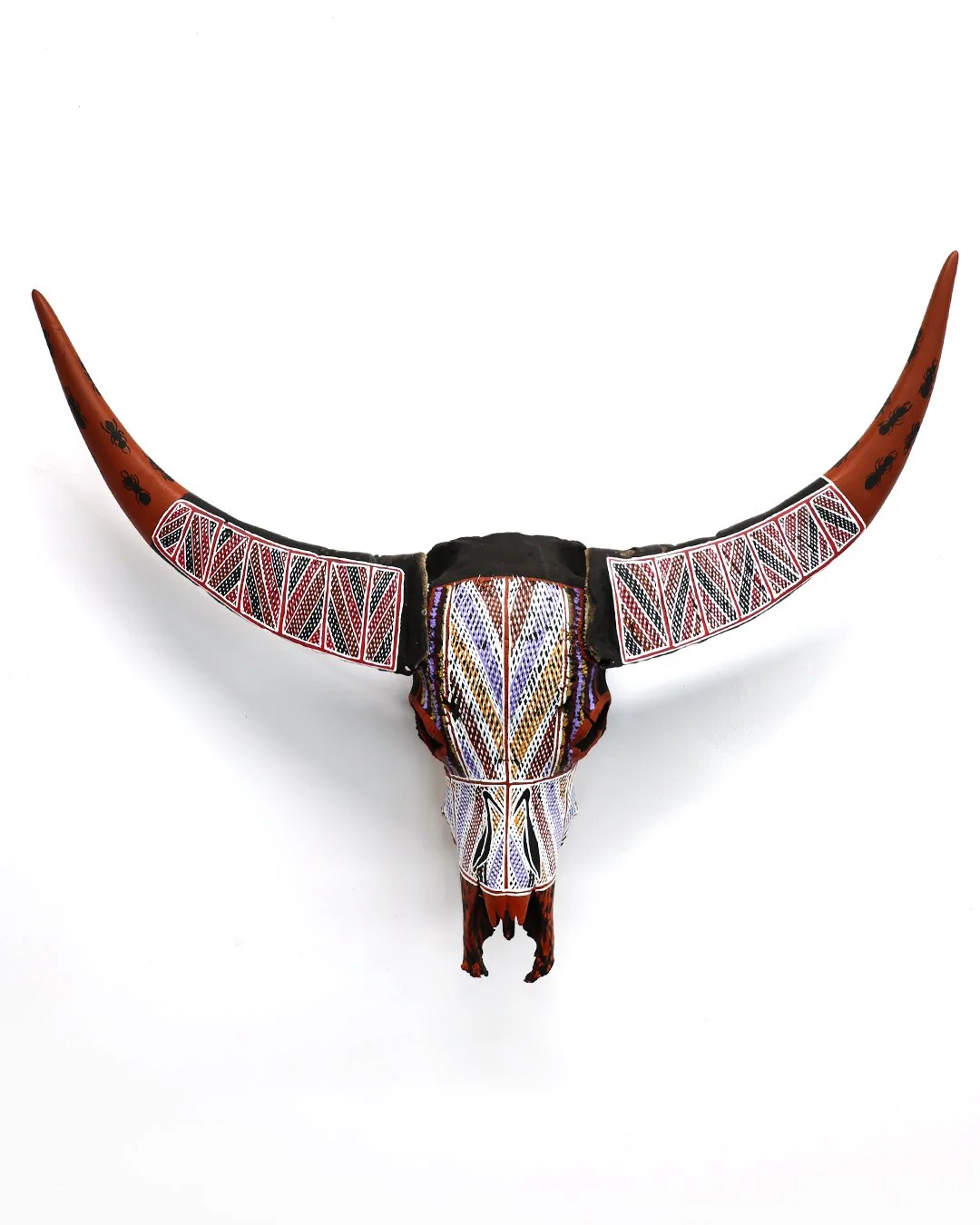 Luke Djalgarrarra buffalo skull2 100cm x 80cm x 20cm.jpg