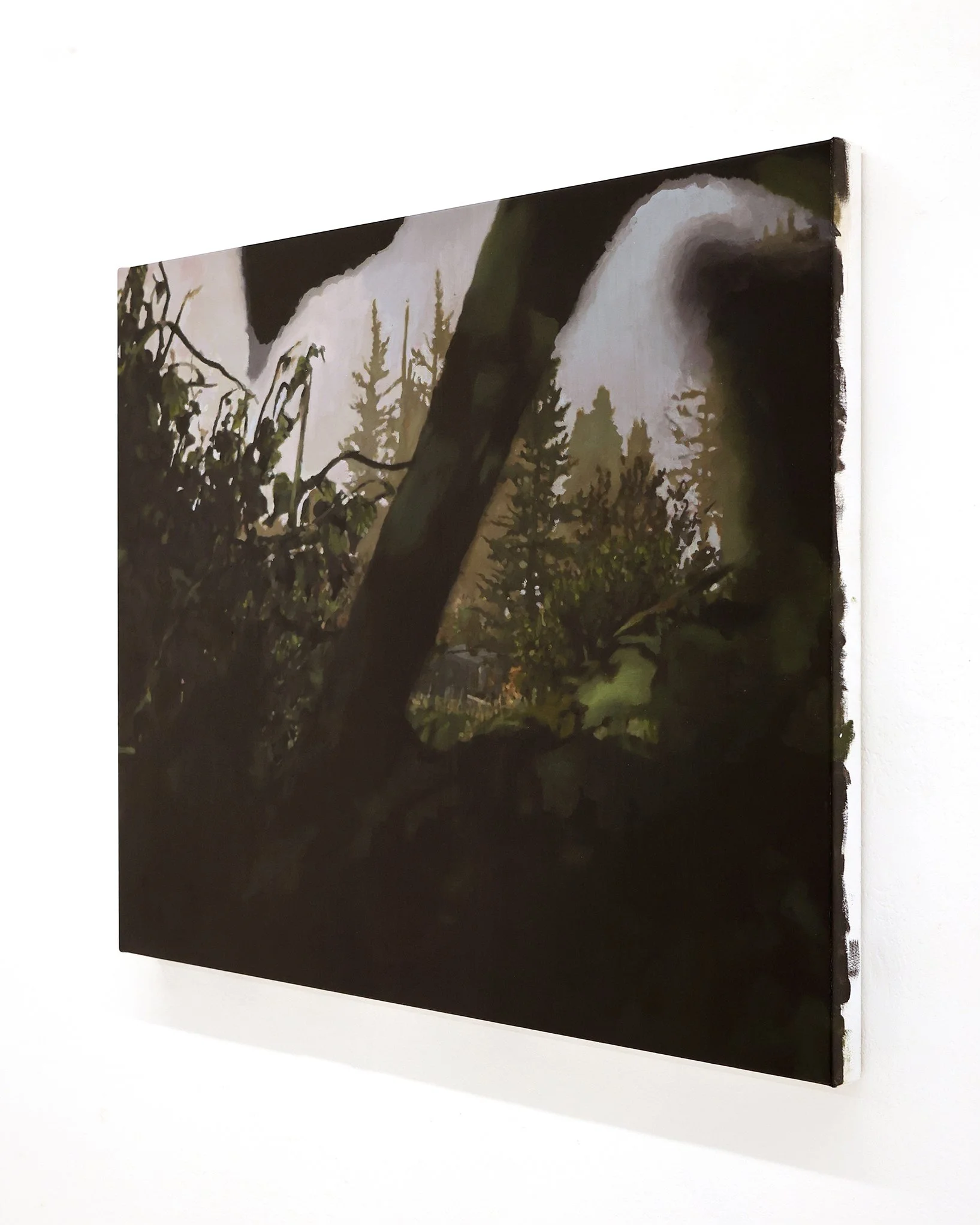 Dean De Landre Untitled (28-03-2022_2-49-40_PM-efaeeh2q) 76cm x 60.5cm RHS  Web-Res 4x5.JPG