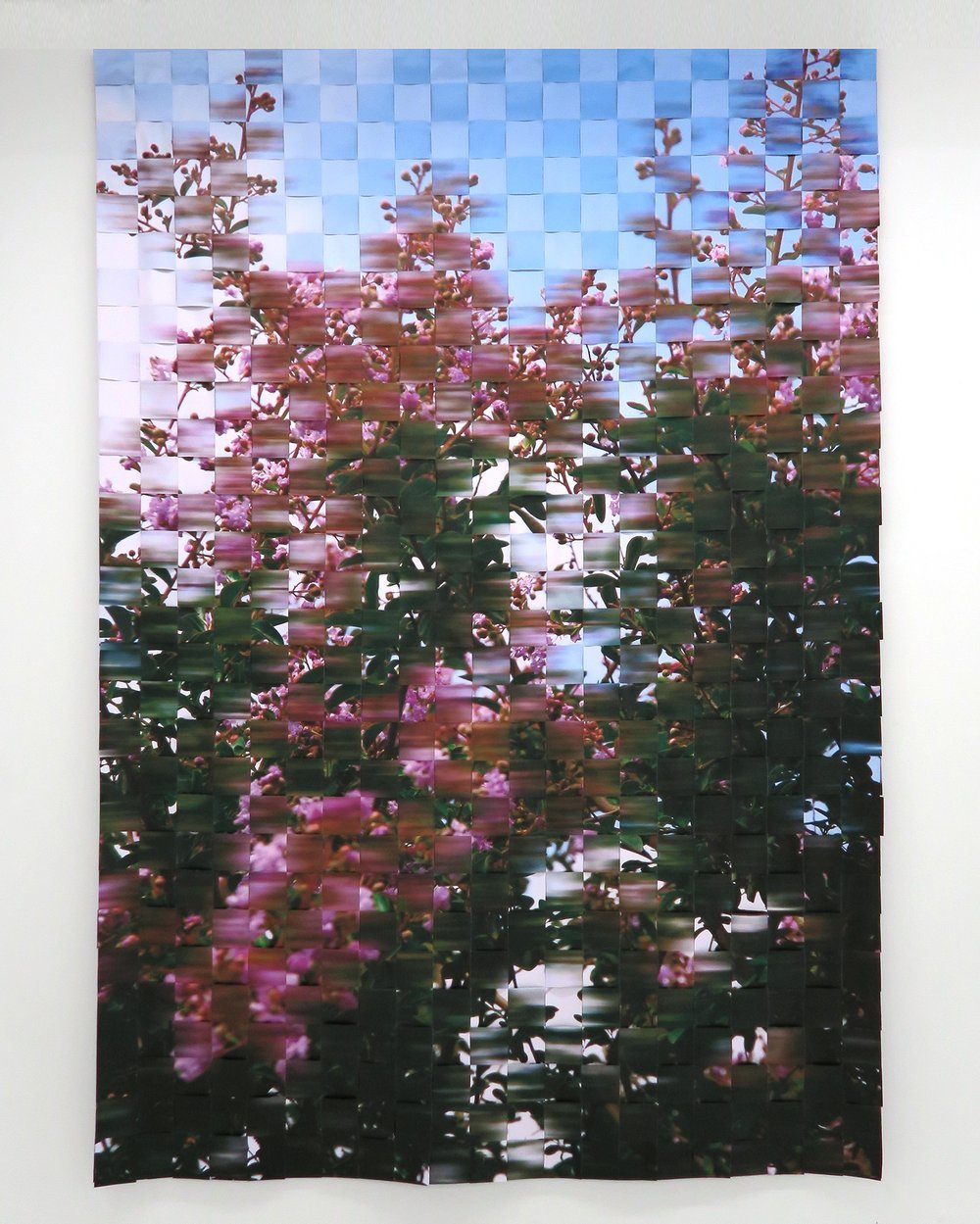 KittyCallaghan_InstalltionPiece_210cmx300cm_2023.jpeg