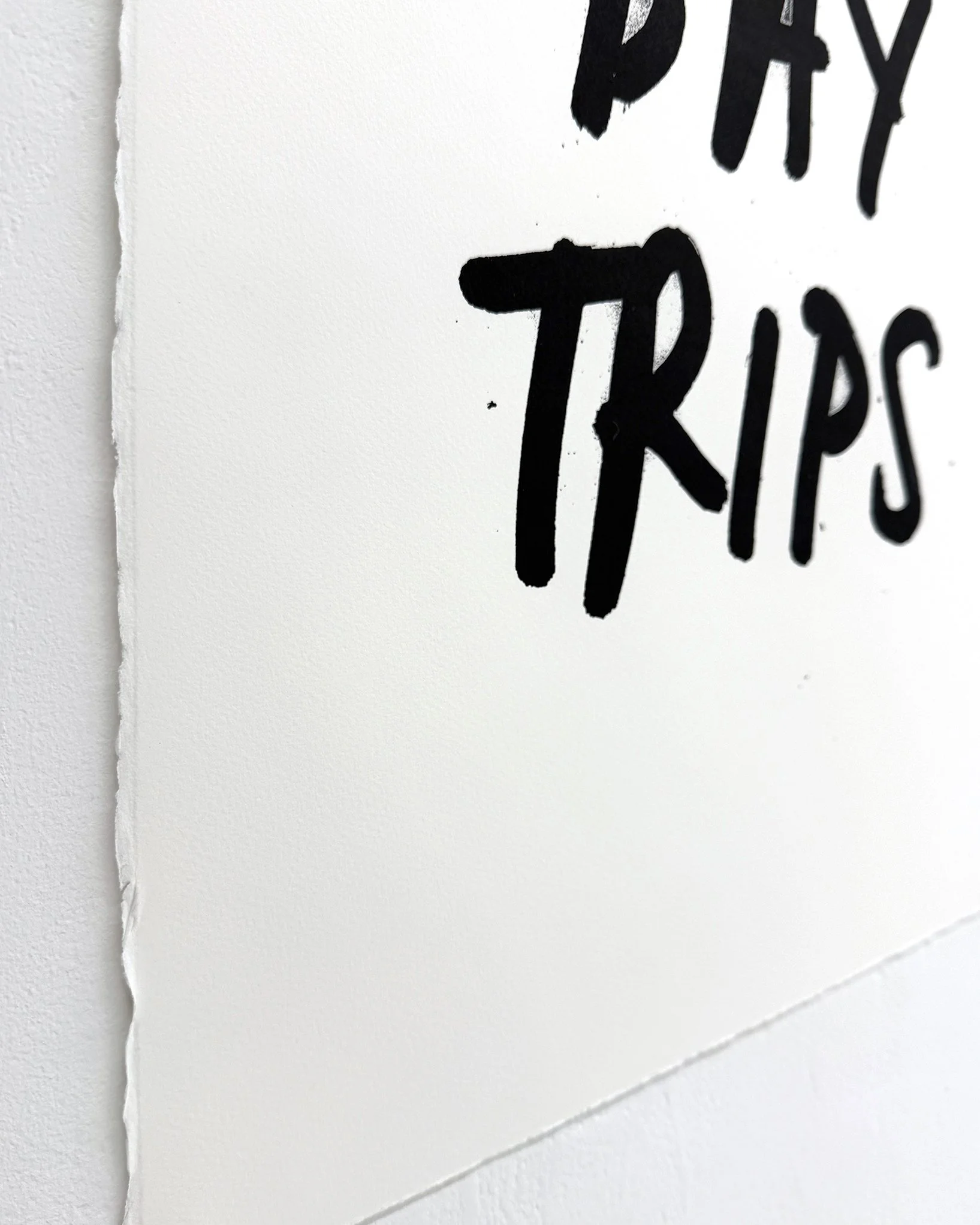 ONE DAY TRIPS 57cm x 76cm DETAIL.JPG