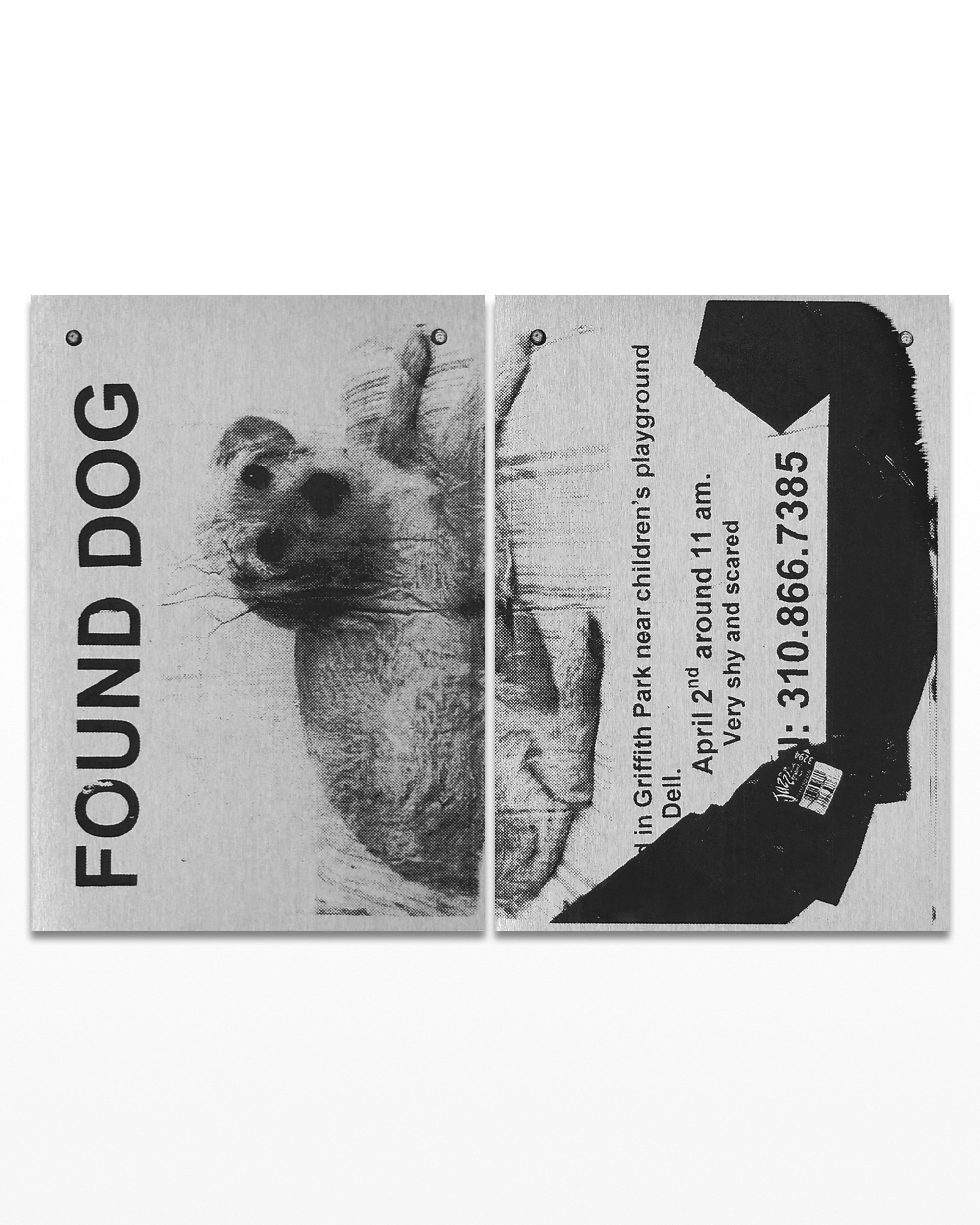 7. FOUND DOG CHRIS TOWN 30cm x 21cm 2025.jpg