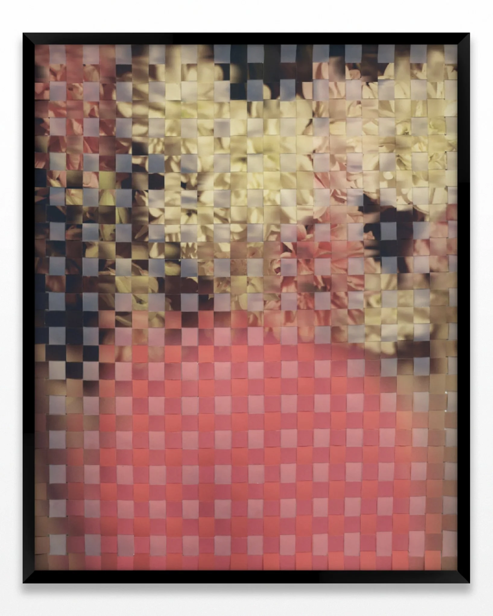 Pink 2 54cm x 67 Kitty Callaghan 2025.jpg