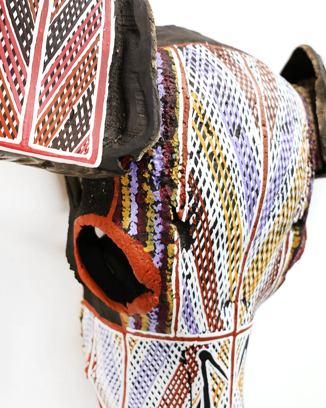 Luke Djalgarrarra buffalo skull4 100cm x 80cm x 20cm.jpg