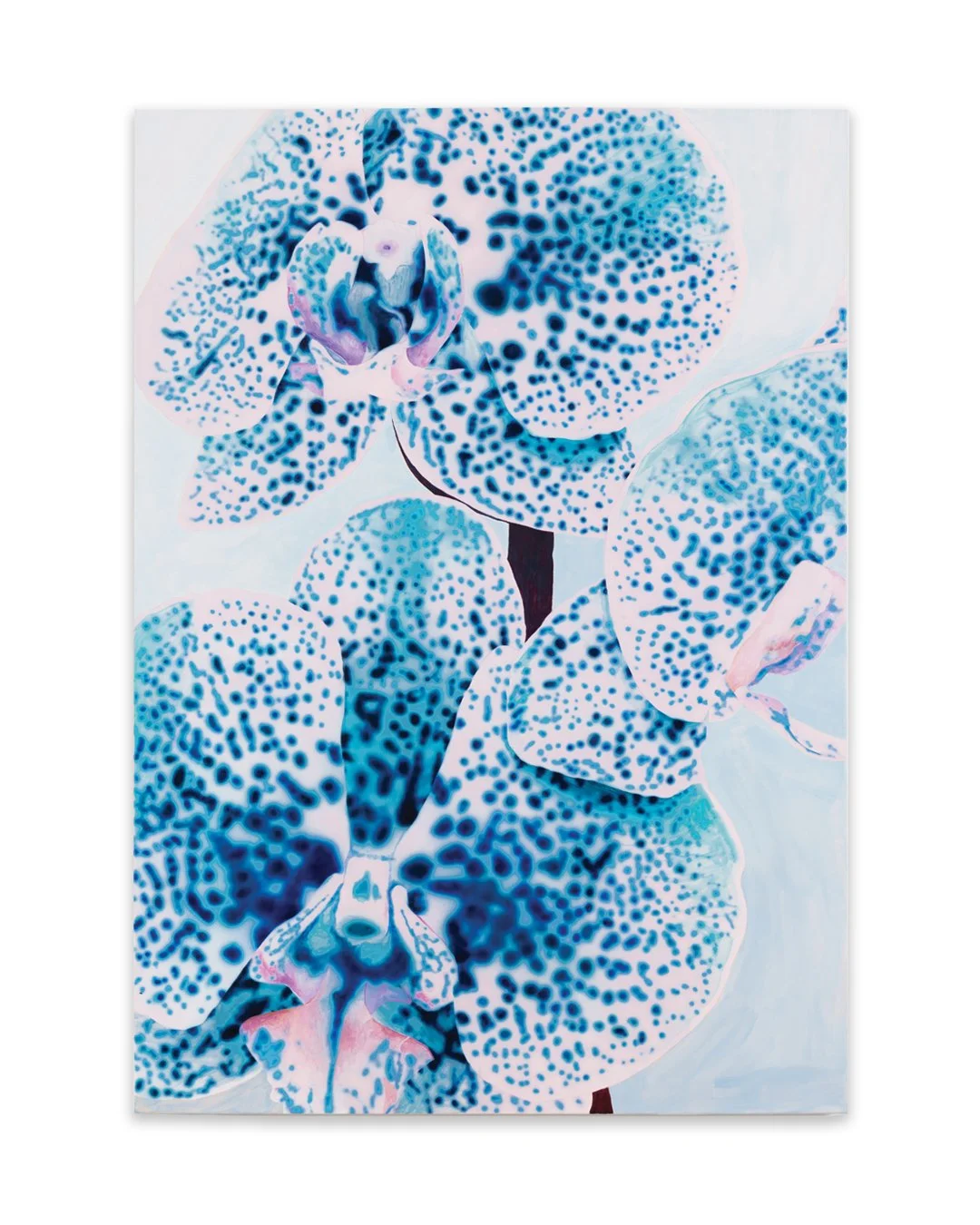 Benedict dos Remedios 'Mum’s kitchen orchid #7'. Original artwork