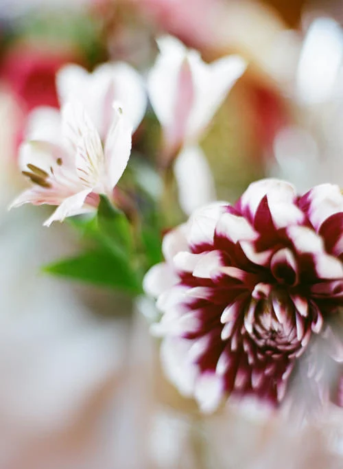 Marsel_Restaurant_Rancho_Palos_Verdes_Terranea_Resort_Wedding-44.jpg