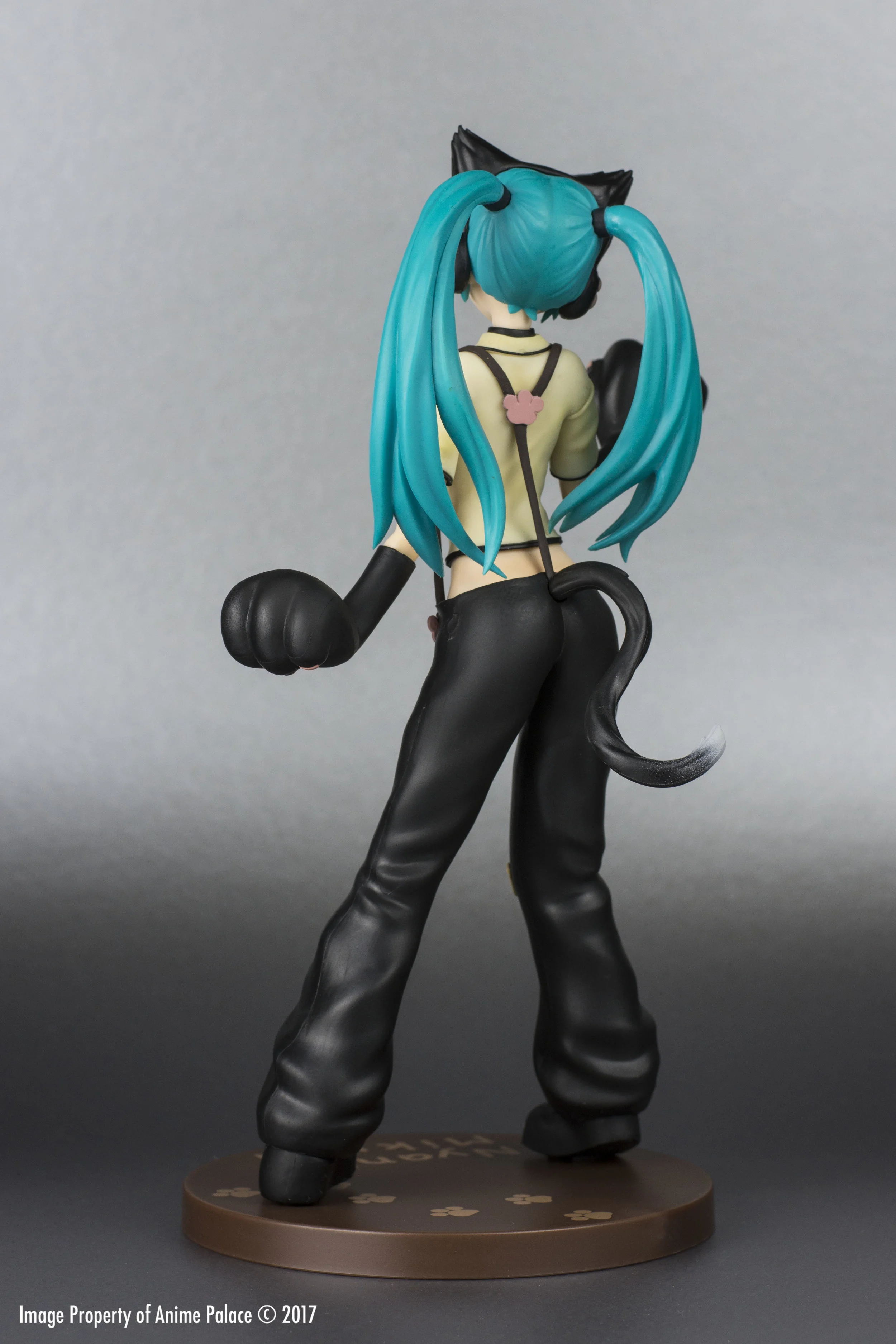 CAS_6630 copy.jpg