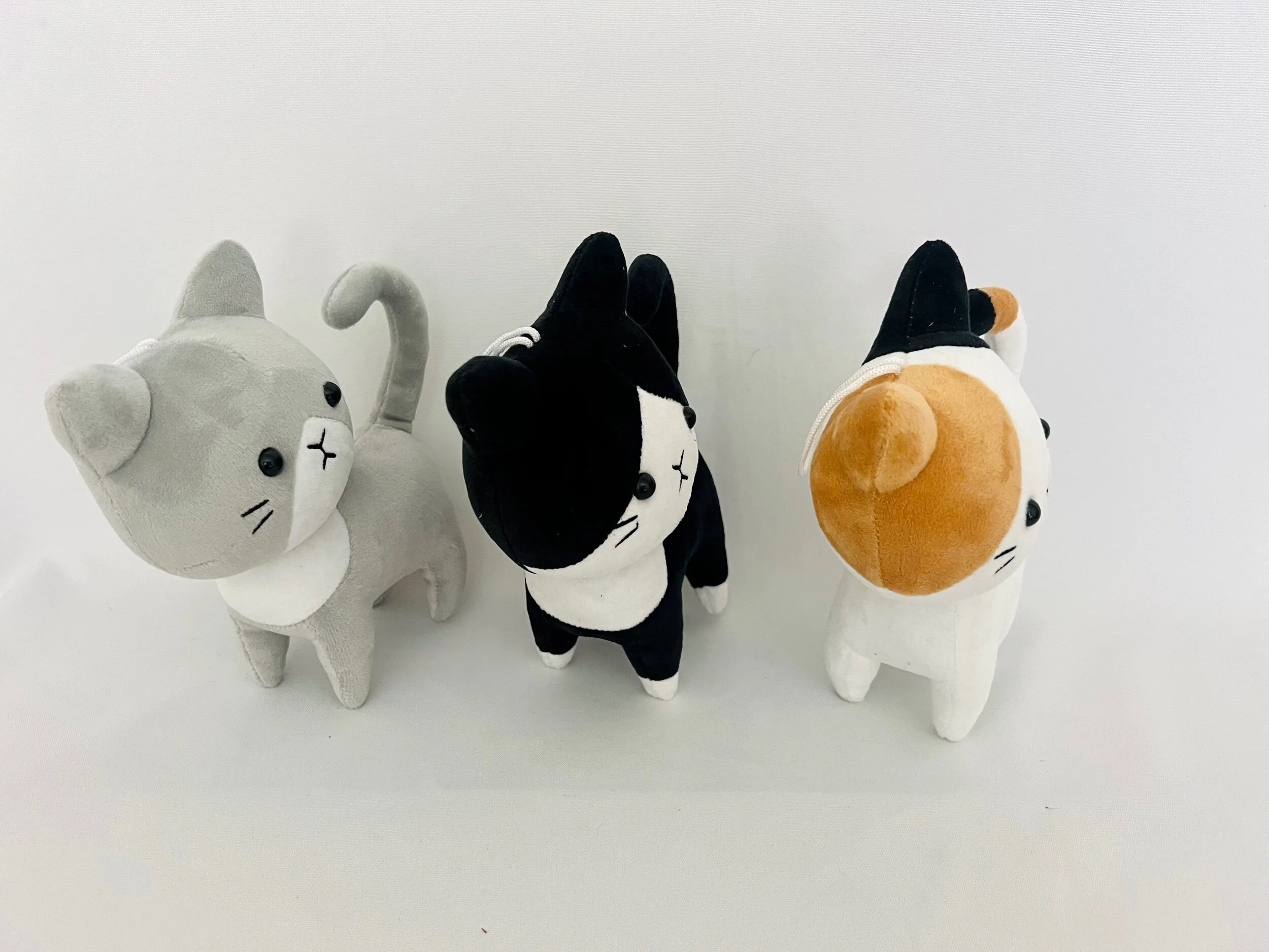 34D4D9DA-ED6D-4138-A1A2-2E0DBD87D805