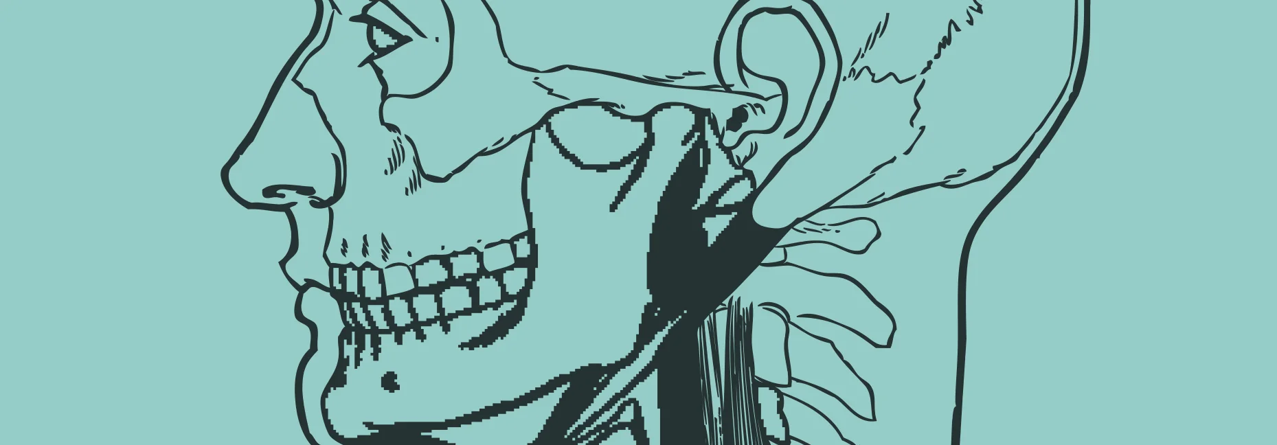 1Squelette_BottomR.jpg