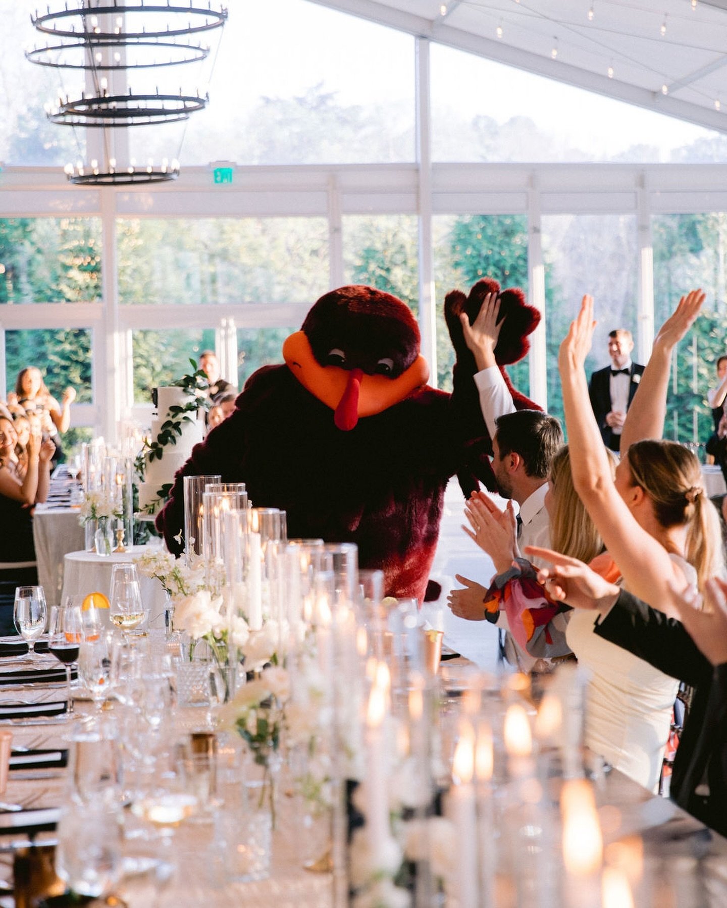 When your school mascot serves as the ultimate hype-up for your reception entrance 🦃 

The official @thehokiebird got wedding guests to their feet to welcome T + S into the @dover_hall glass hall for their first dance. 

Gotta love a #hokie wedding!