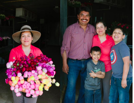 SWGMC sponsors farm open days and events several times a year to help customers connect with farmers and see how the flowers are grown.