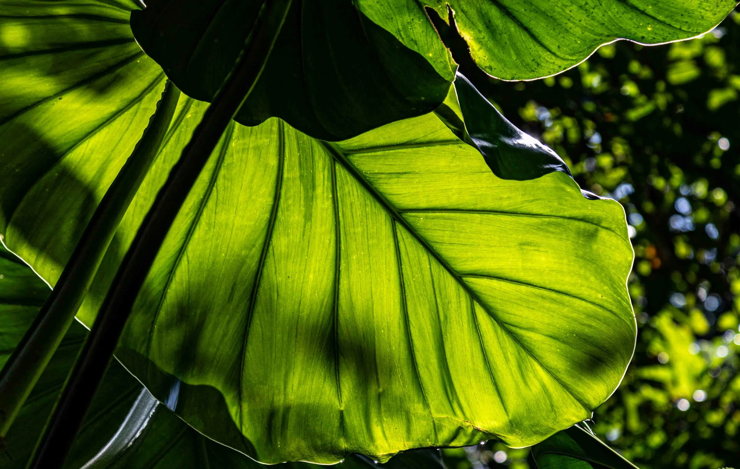 bernd-dittrich-No9qipDMCkA-unsplash.jpg