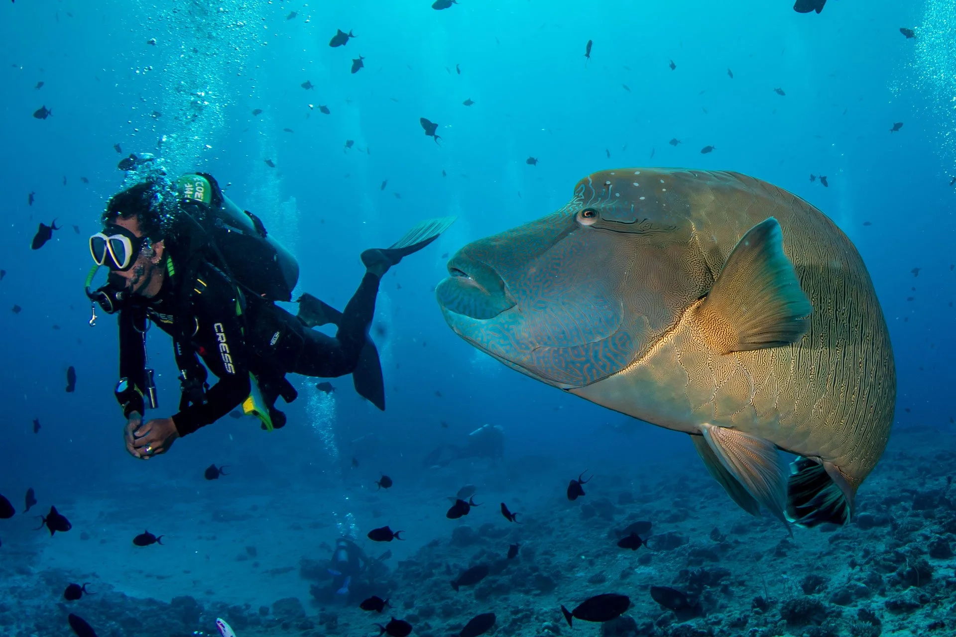 Palau-Day-5_0105.jpg