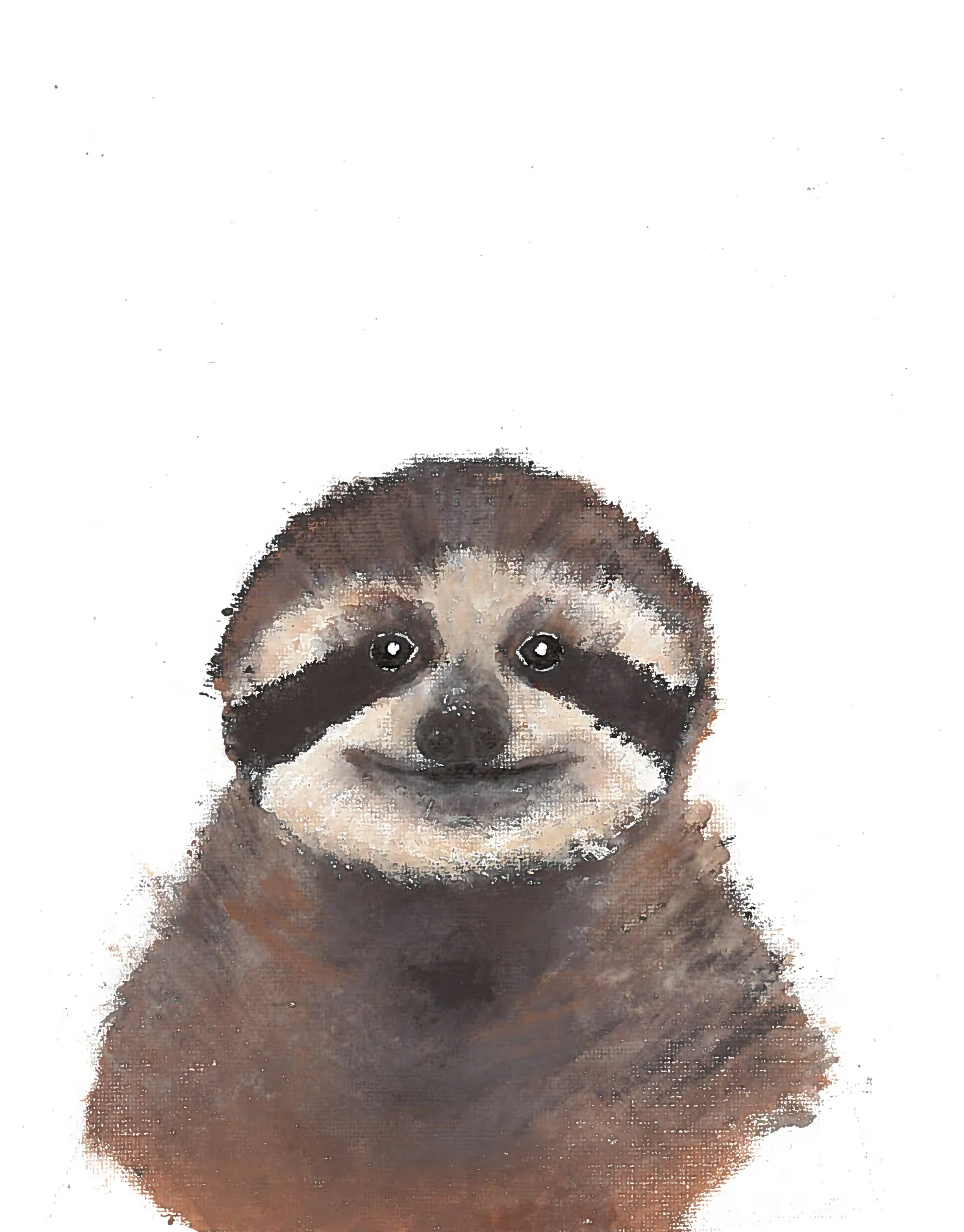sloth.jpg