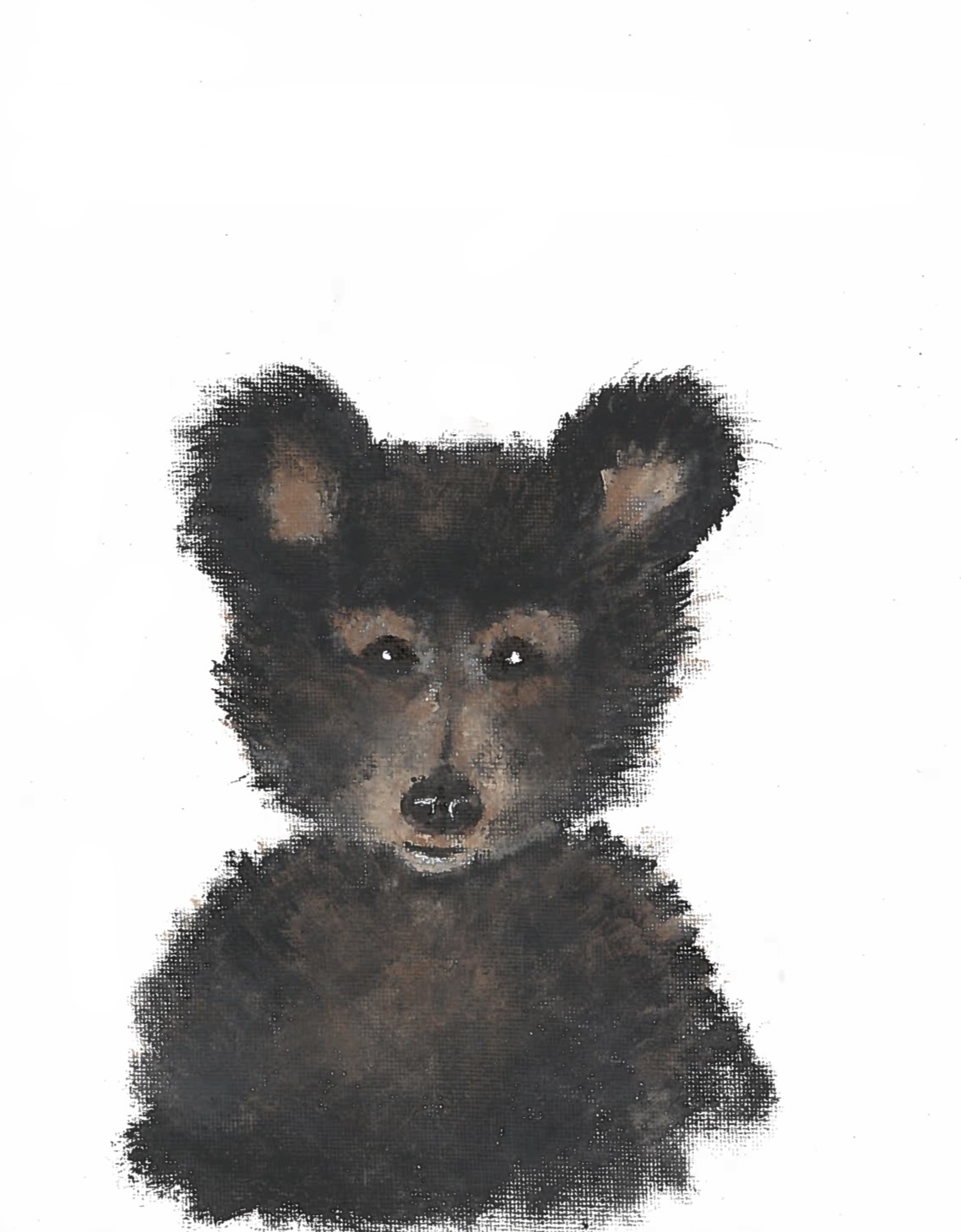 bear cub.jpg