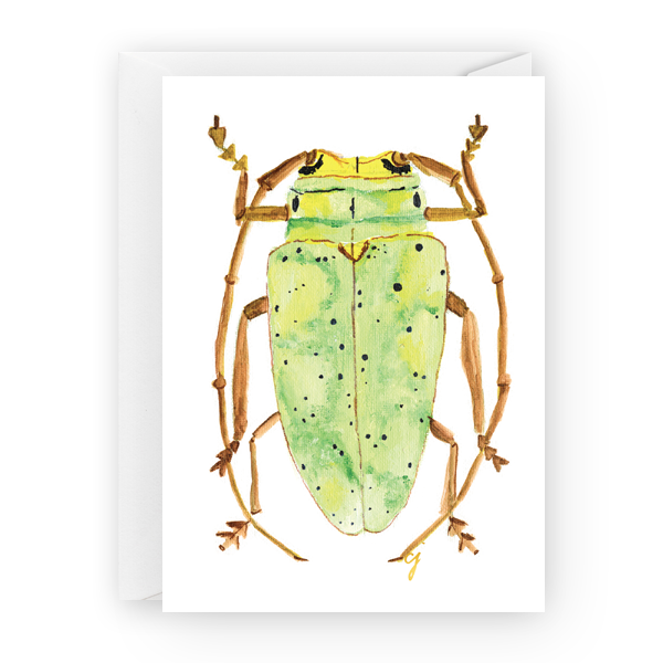 B003 Light Green Beetle.png