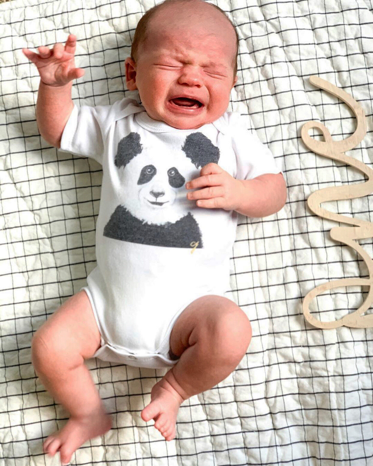 CD373F1D-87DF-4EA9-A9A7-993835374CAC 2.JPG