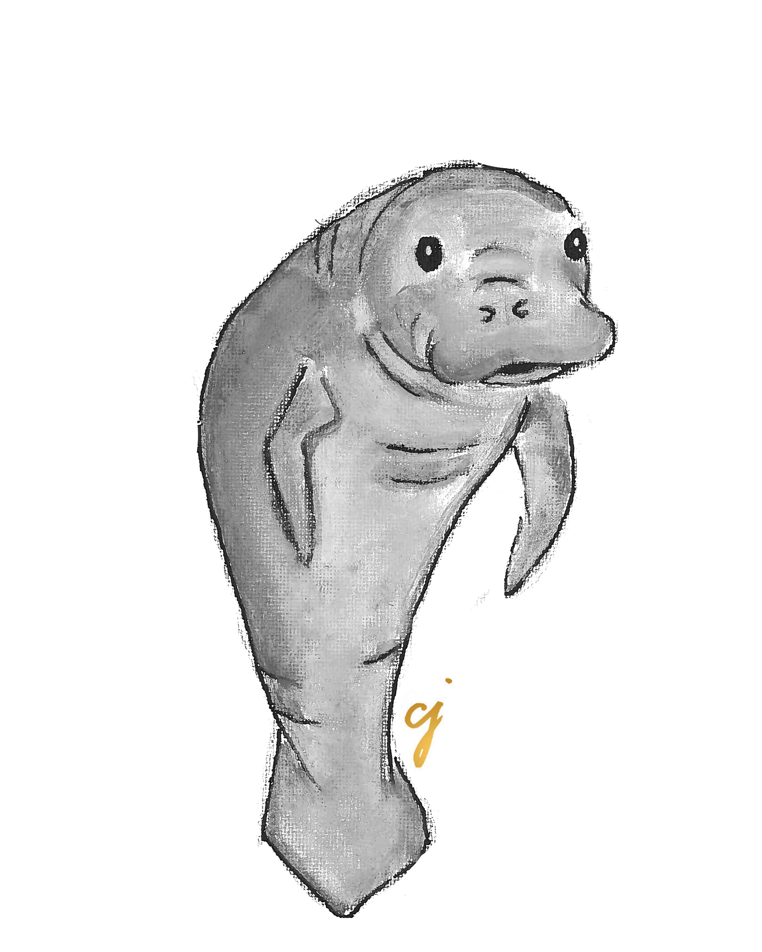 manatee.jpg