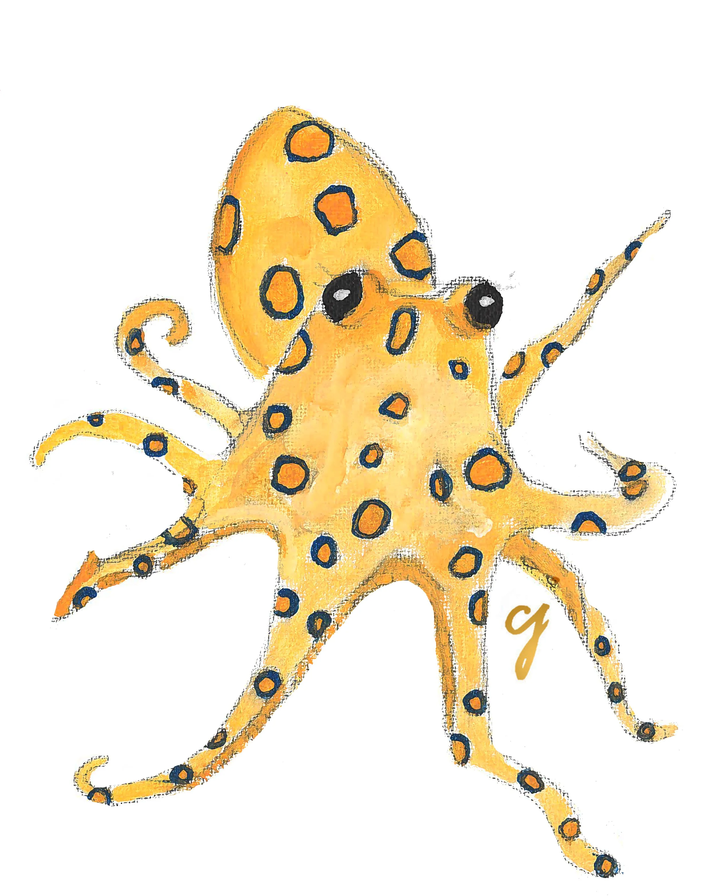 octopus.jpg