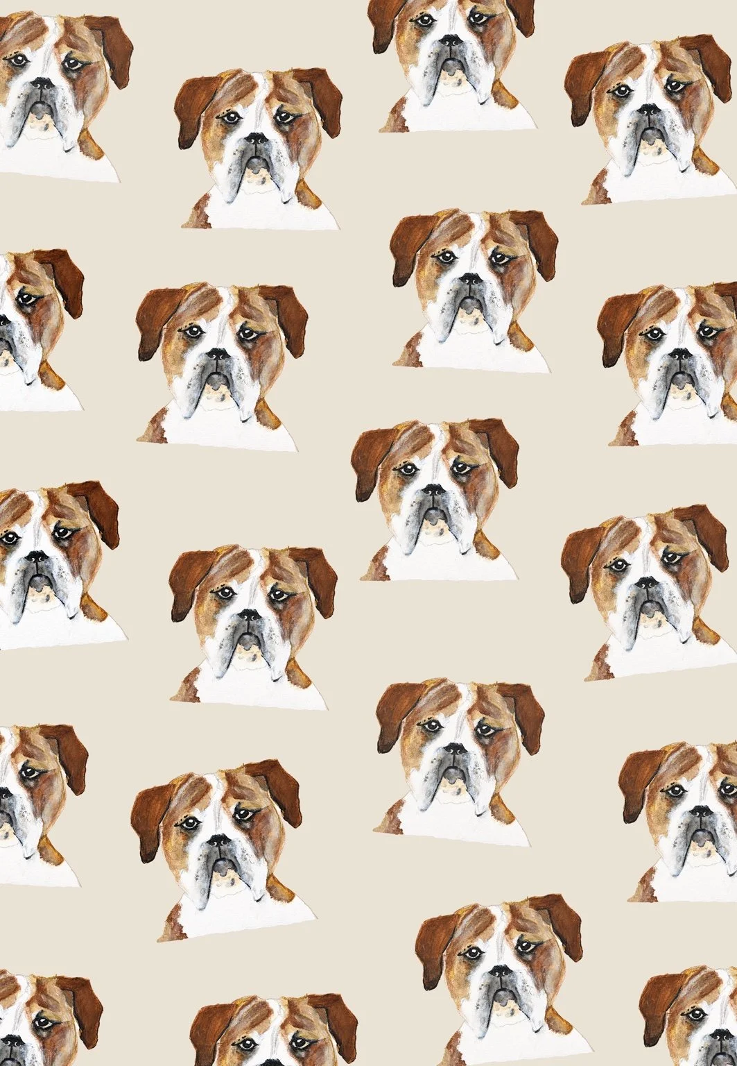 claire_jordan_bulldog_gift_wrap_under_10mb.jpg
