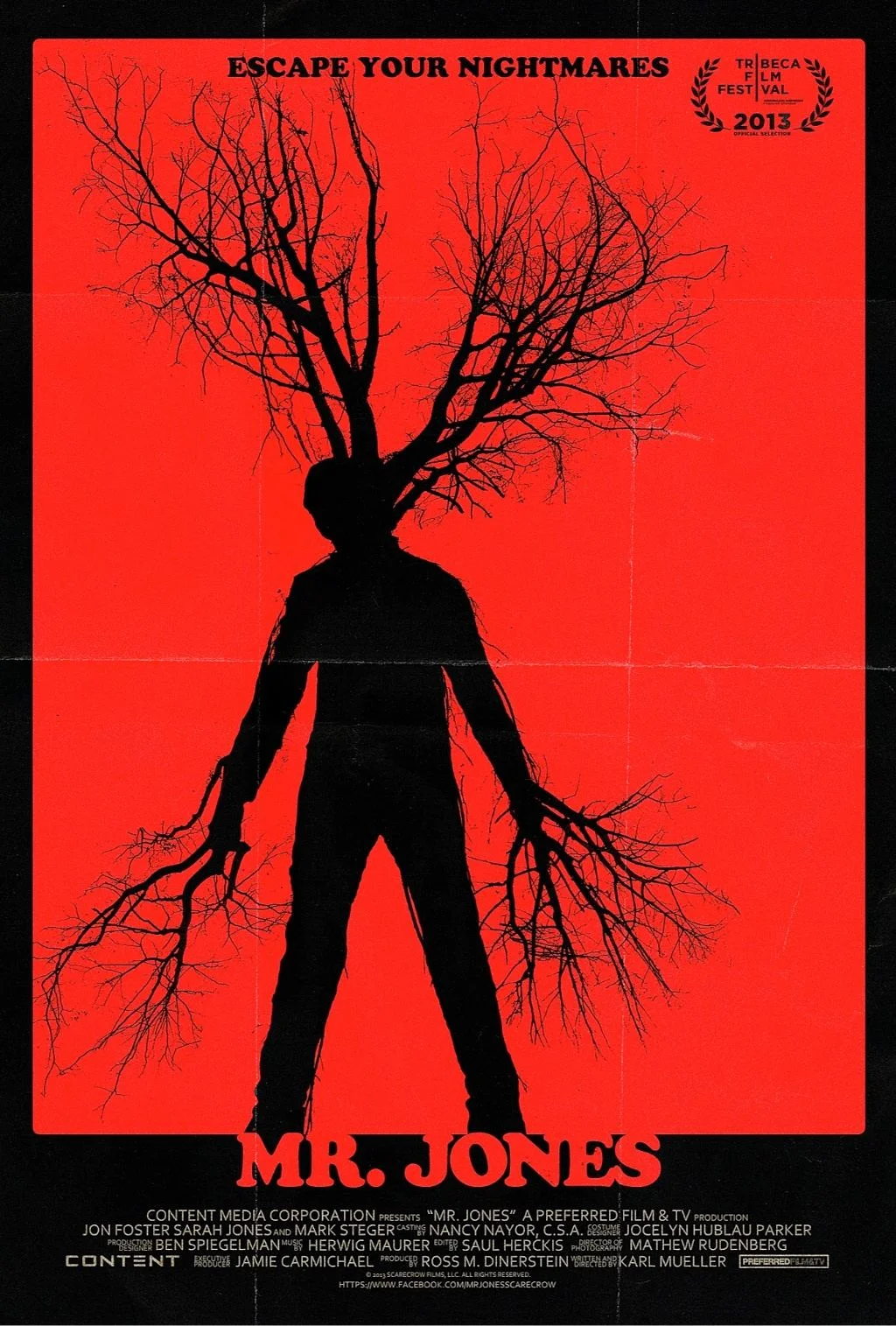 mr-jones-poster-2013.jpg
