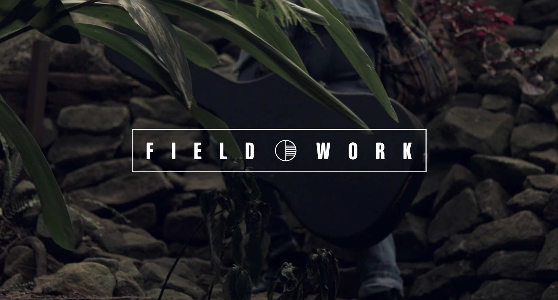 FIELD WORK #33: Jesse Squire - Flame Trees