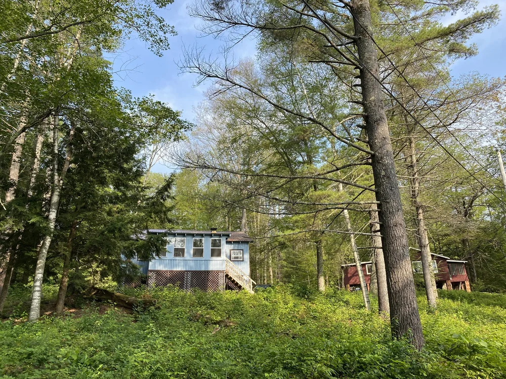 Availability — Trout Lake Club