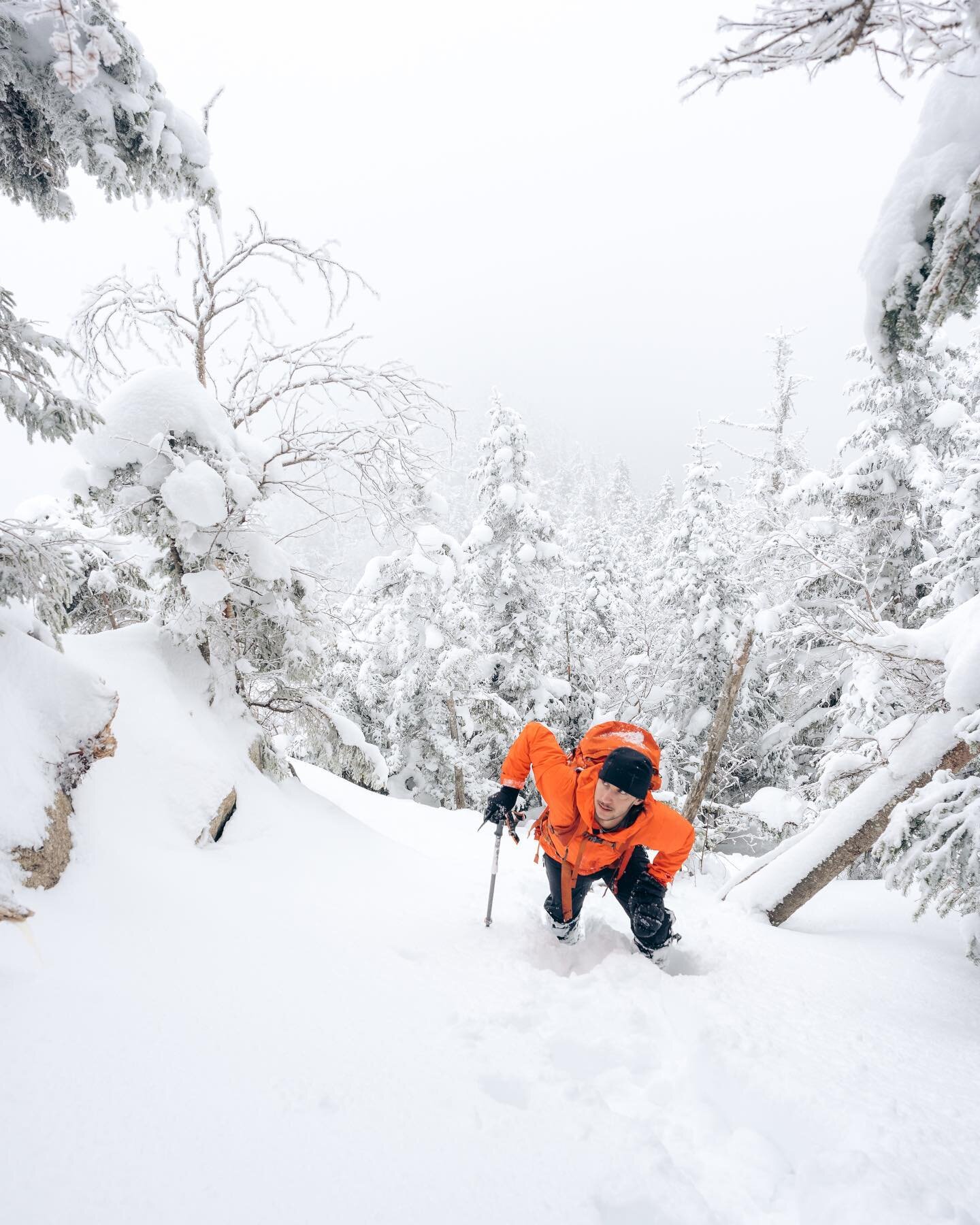 A collection of snow and trees and orange gear.

Hiking to Lower Wolf Jaw the hard way, through 6 miles of untouched trails after a few snowstorms. Took us 7.5 hours to go 6.5 miles. I complained a bit, but had a good time and ate a lot of snacks. I&