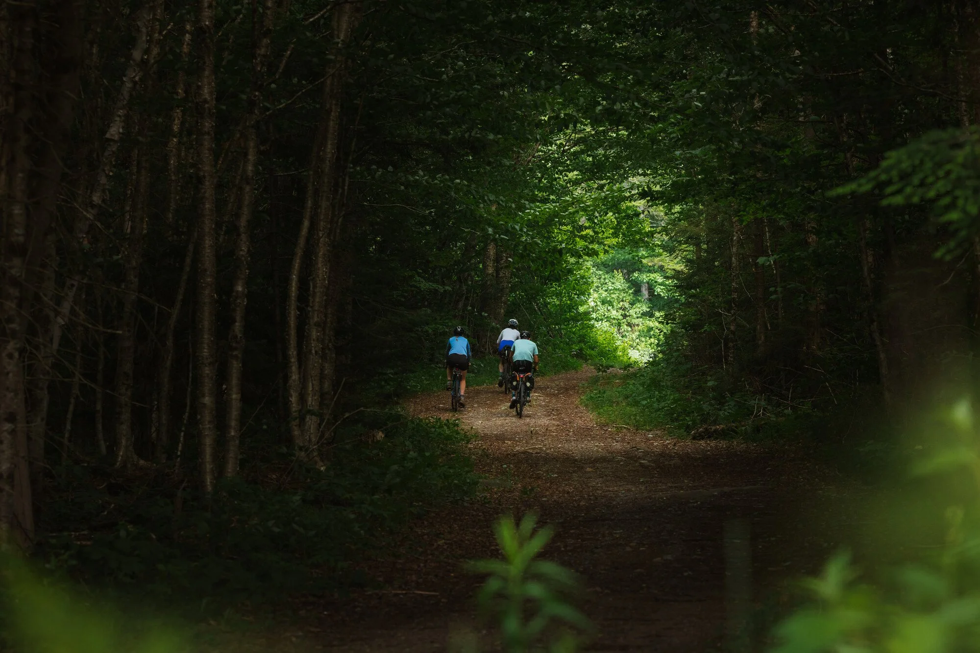 RS130498_AE_Speculator_Gravel_Cycling_Summer_2026-Cody-Updike23_lpr.jpg