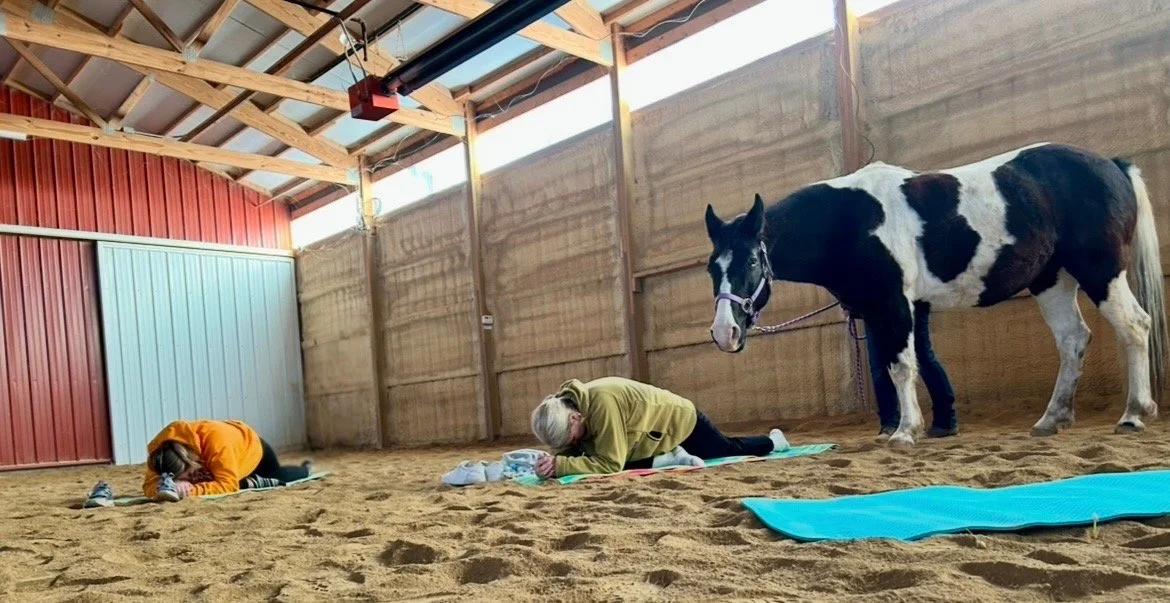 Yoga2.jpg