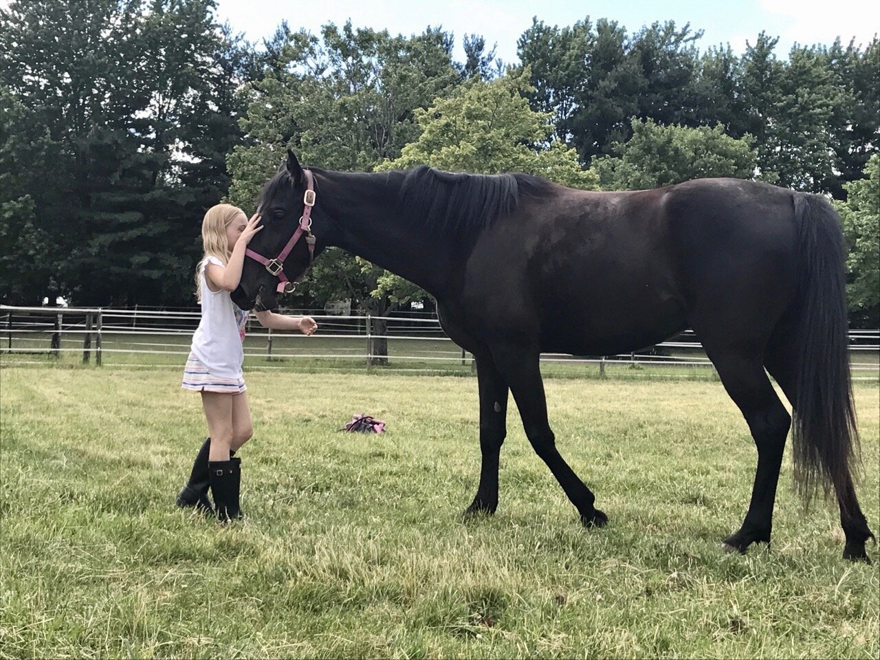 "There is something about the outside of a horse that is good for the inside of a man."