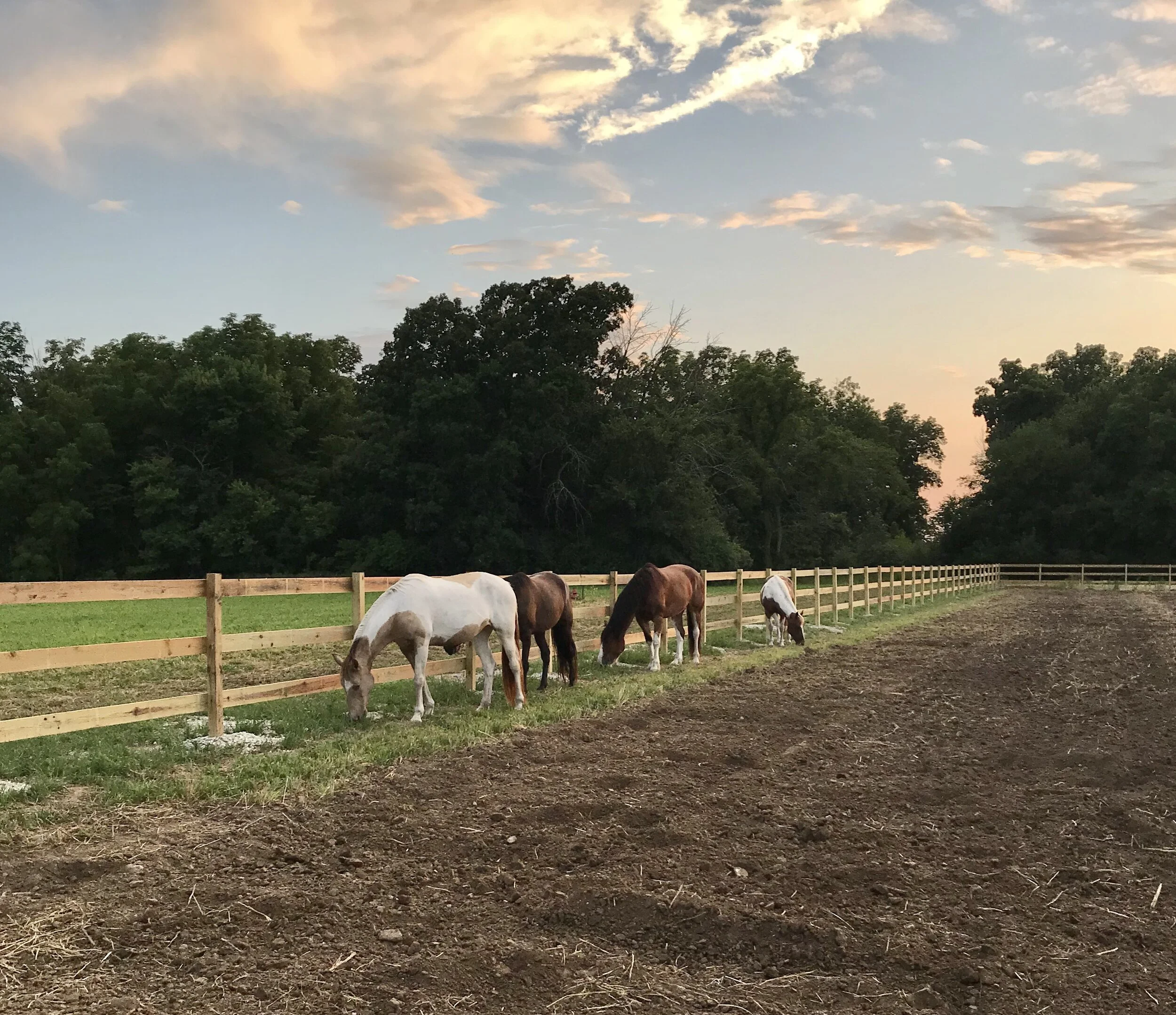 New Volunteer Orientation - March 4