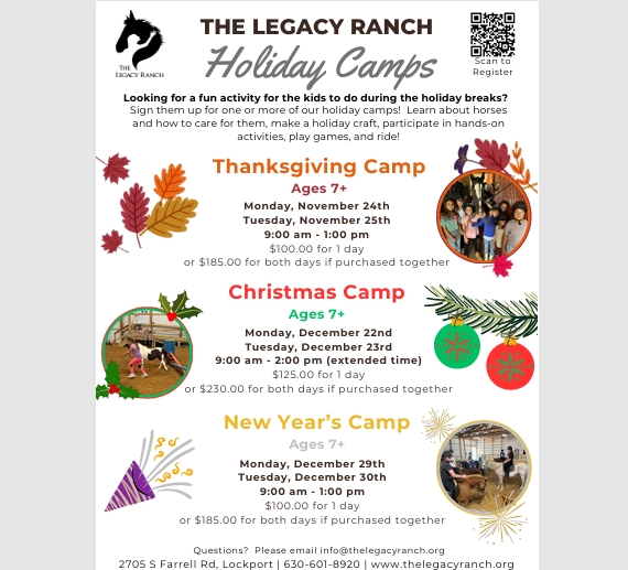 Holiday Camps 2025