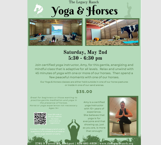 Yoga &amp; Horses
