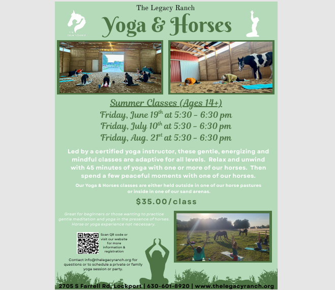 Yoga &amp; Horses - Summer Classes