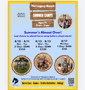 1-Day Summer Horse Camps 2026
