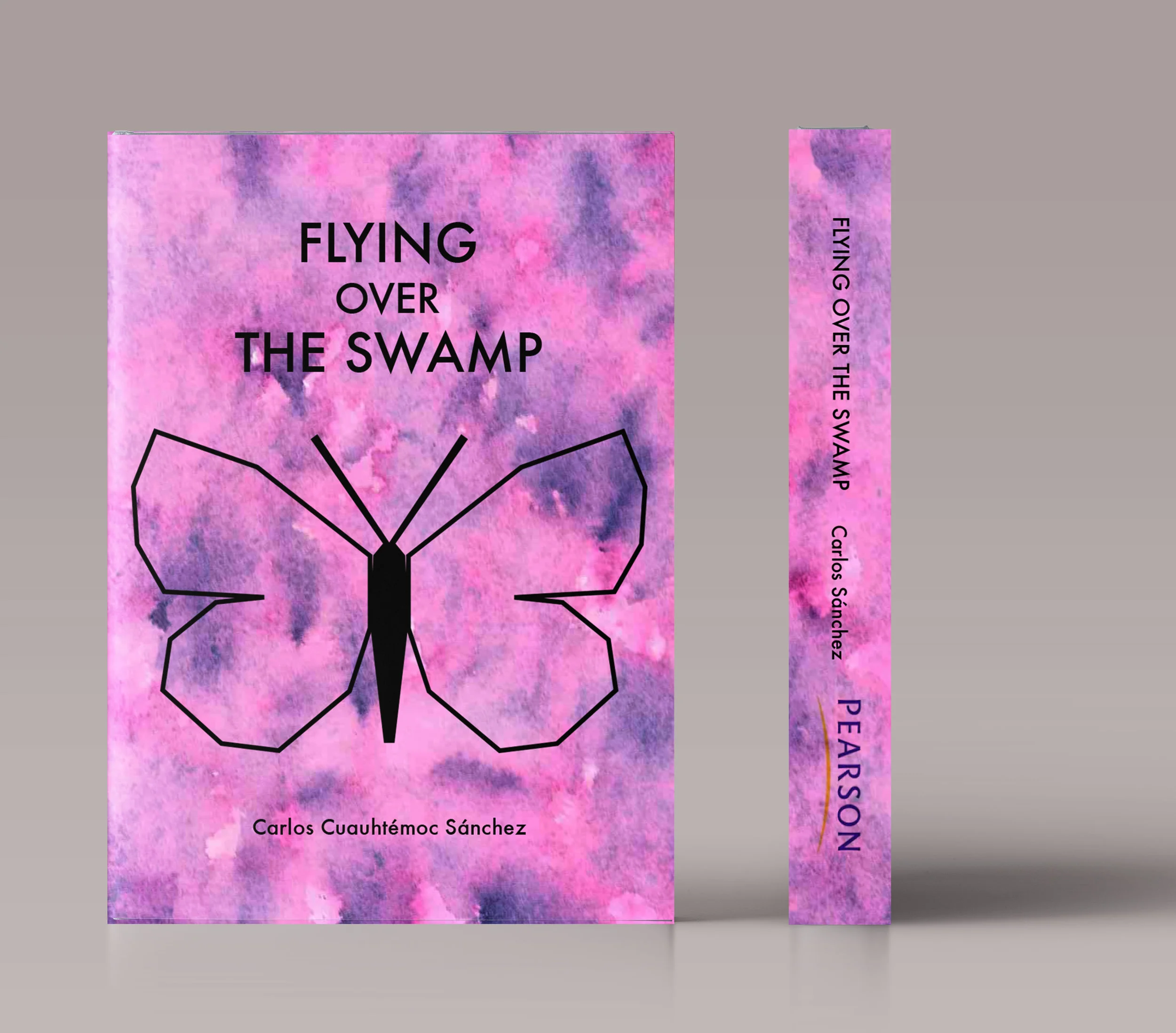 flying-over-the-swamp-book-cover.jpg