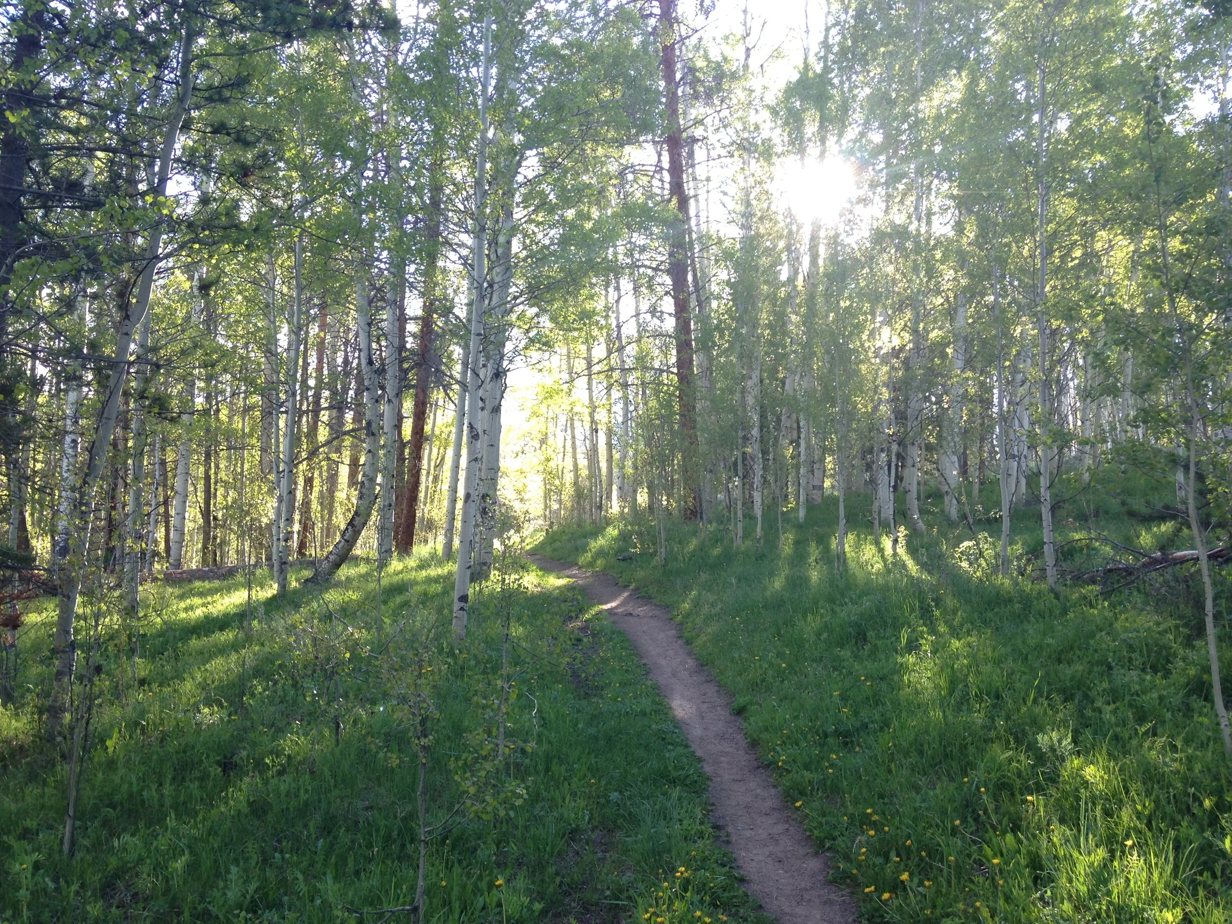 Aspen Grove Frisco Colorado.JPG