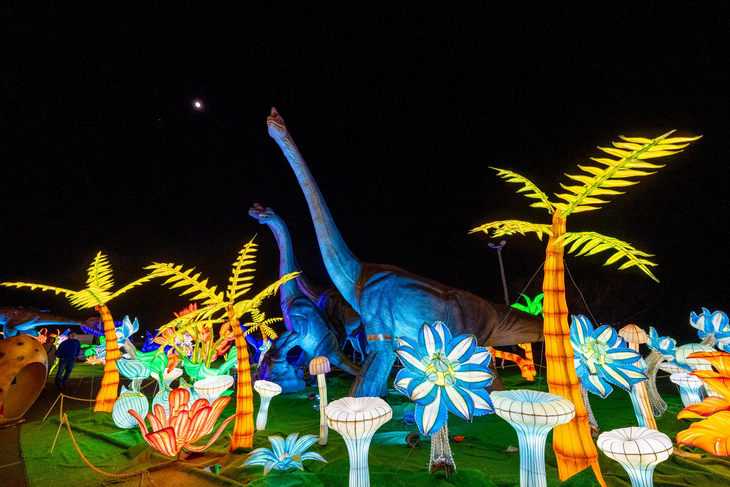 Dino Safari Lights Festival back at the Mall of Georgia